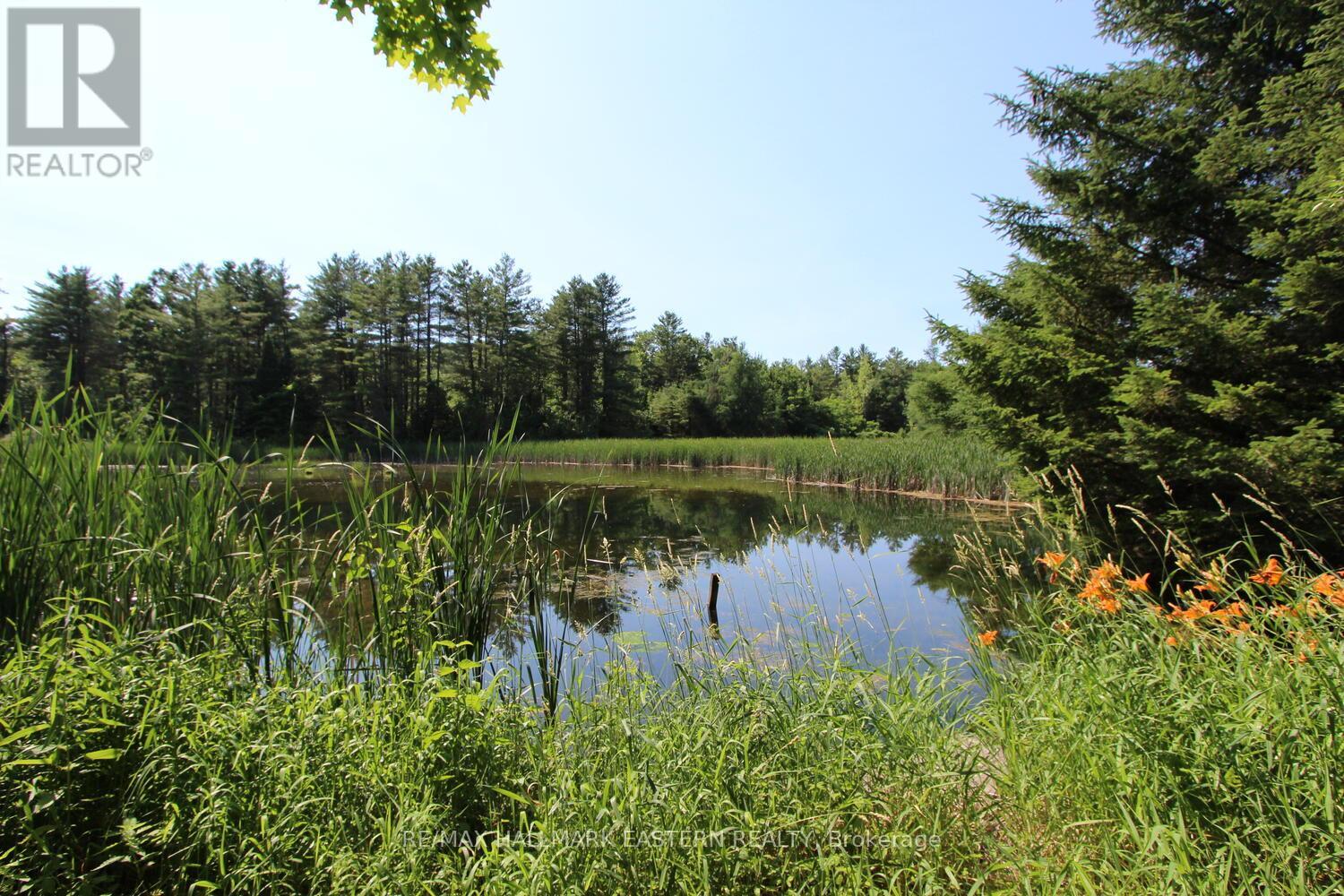 240 Cole Road, Havelock-Belmont-Methuen (Belmont-Methuen), Ontario  K0L 1Z0 - Photo 4 - X12270388