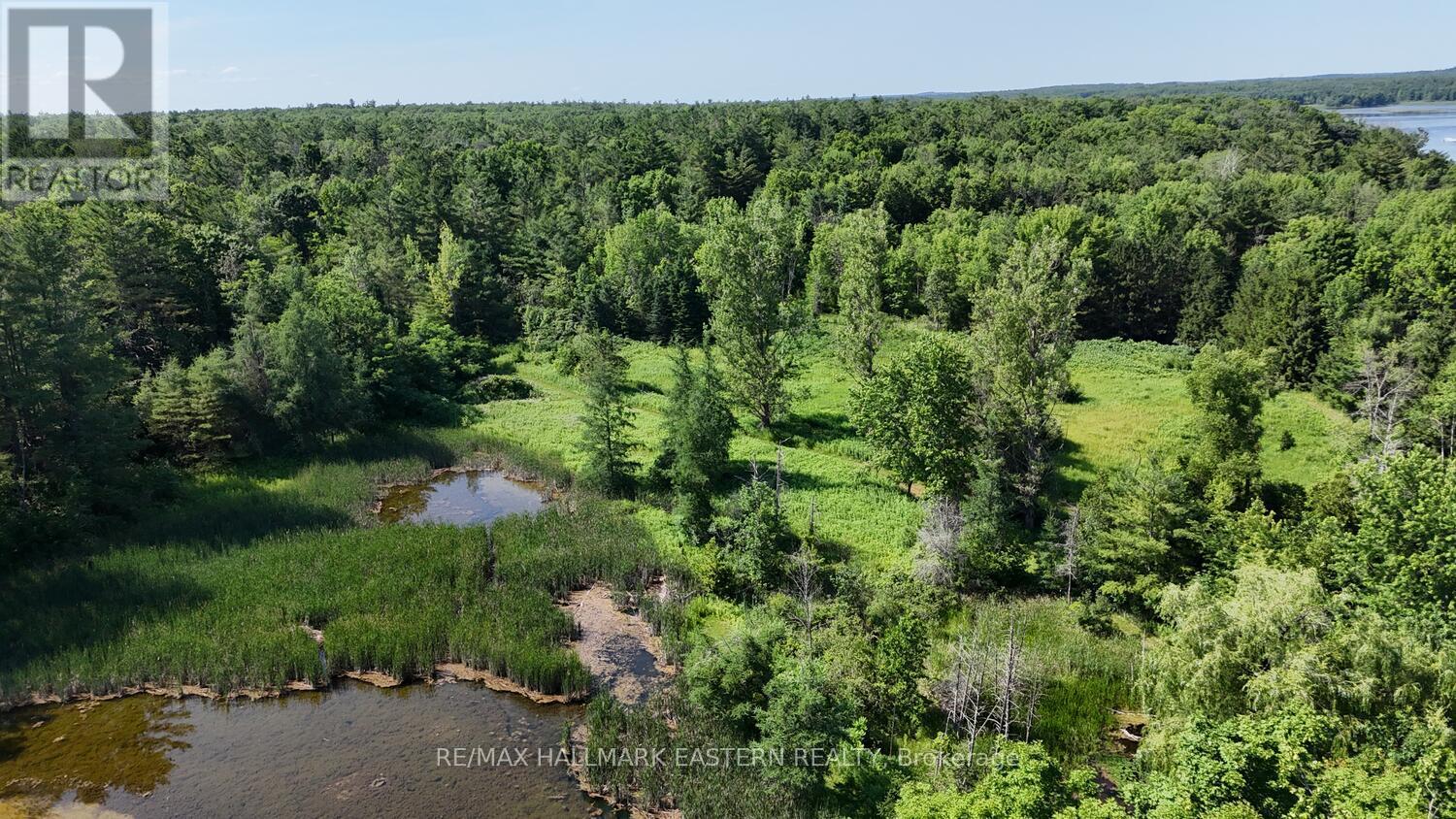 240 Cole Road, Havelock-Belmont-Methuen (Belmont-Methuen), Ontario  K0L 1Z0 - Photo 41 - X12270388