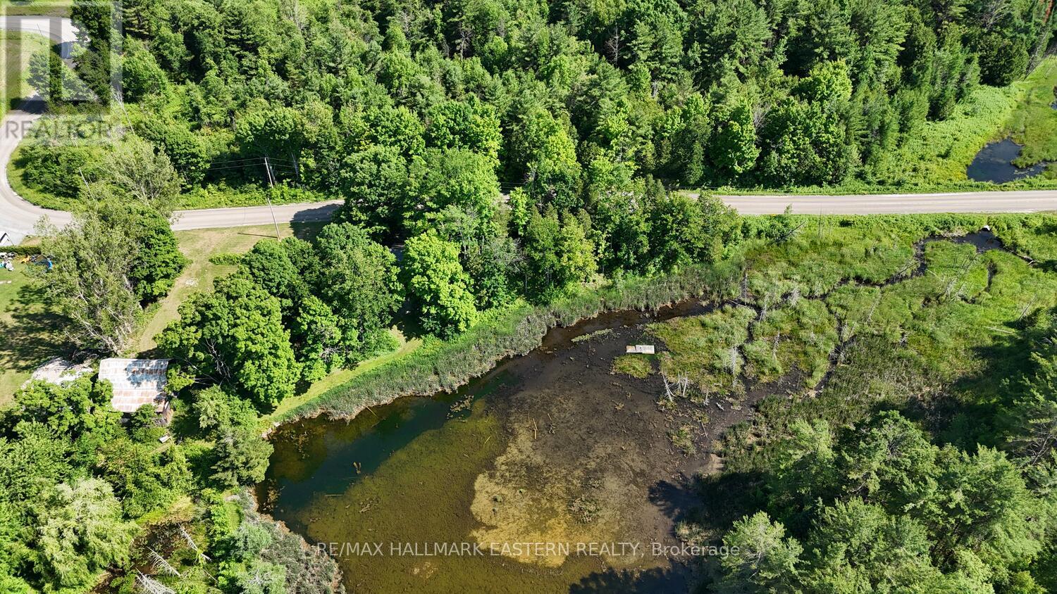 240 Cole Road, Havelock-Belmont-Methuen (Belmont-Methuen), Ontario  K0L 1Z0 - Photo 47 - X12270388