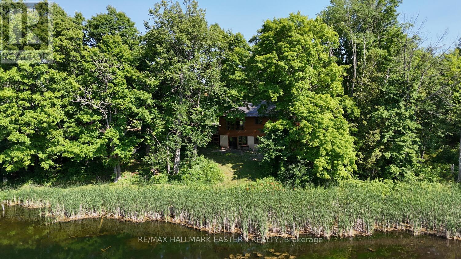 240 Cole Road, Havelock-Belmont-Methuen (Belmont-Methuen), Ontario  K0L 1Z0 - Photo 49 - X12270388