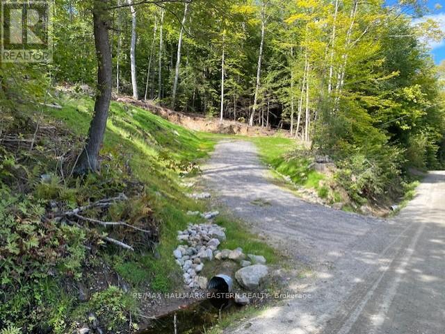1744 Papineau Lake Road, Hastings Highlands (Wicklow Ward), Ontario  K0L 2S0 - Photo 39 - X12270459