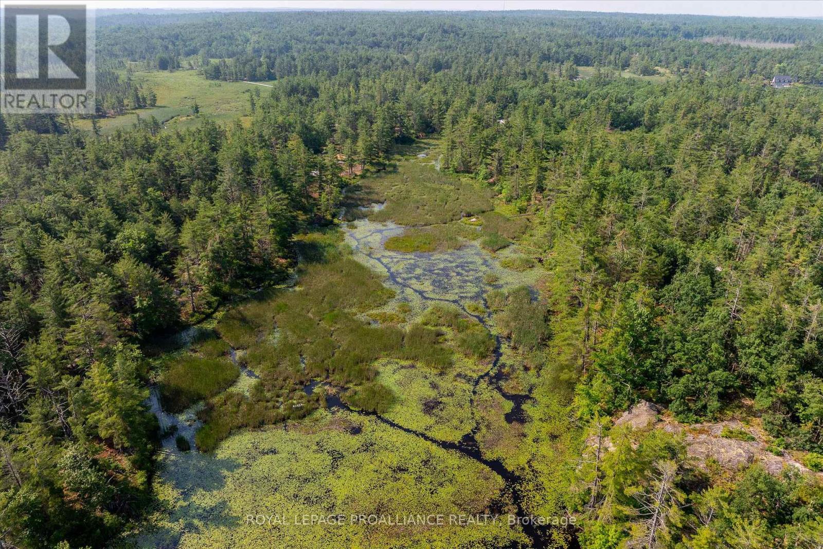 0 Fire 79b Route, Trent Lakes, Ontario  K0L 1J0 - Photo 26 - X12270920