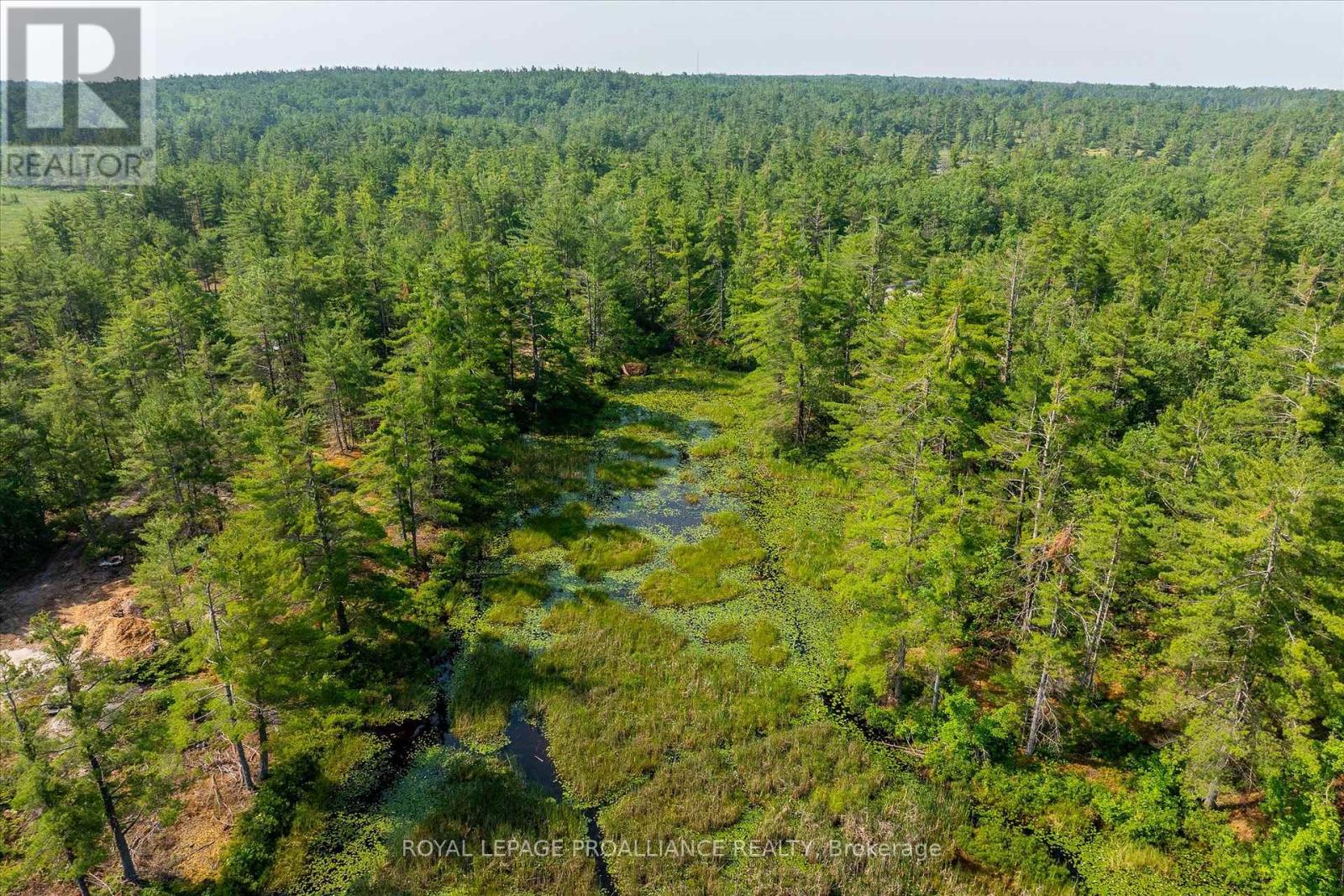 0 Fire 79b Route, Trent Lakes, Ontario  K0L 1J0 - Photo 28 - X12270920