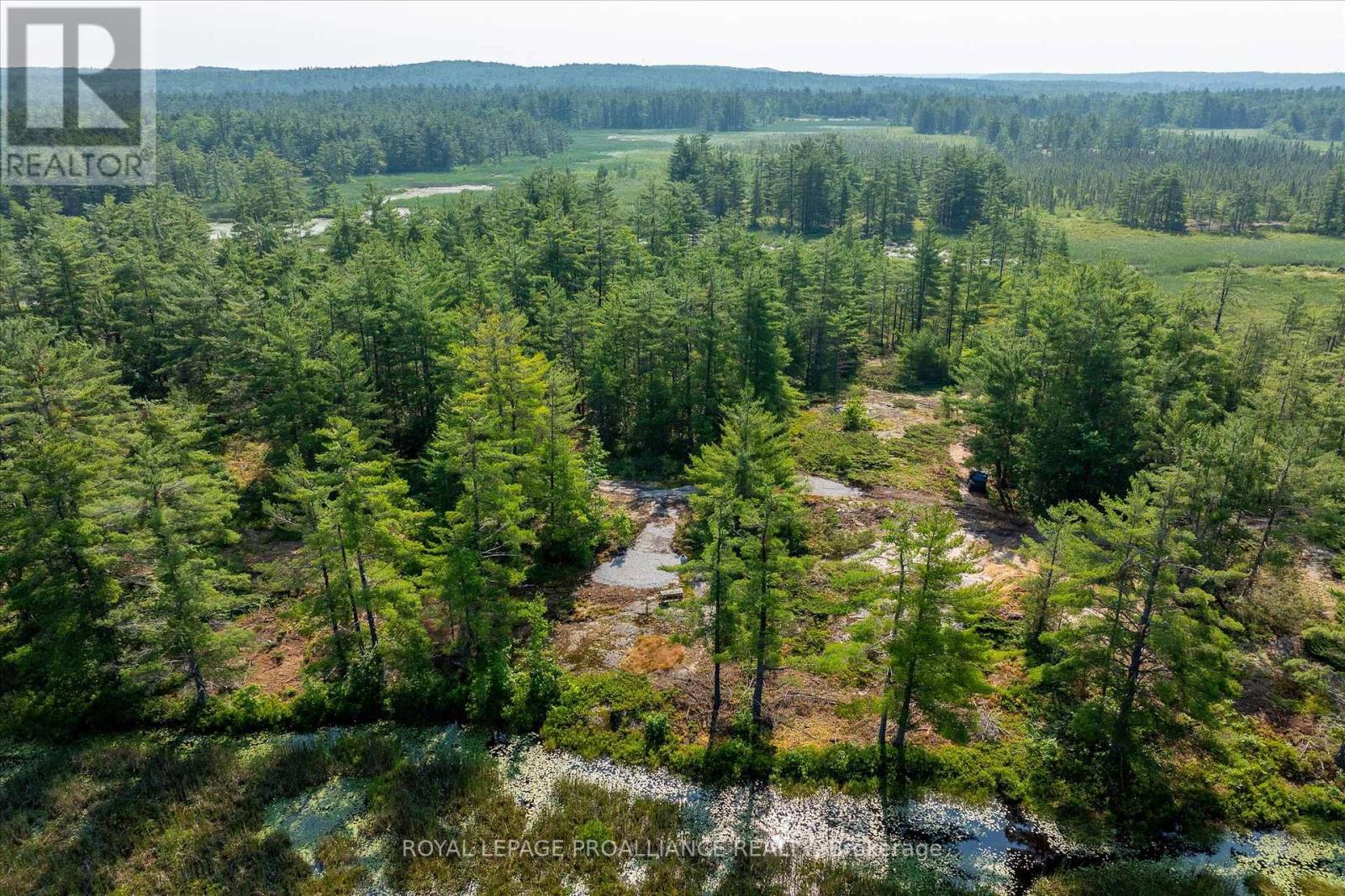 0 Fire 79b Route, Trent Lakes, Ontario  K0L 1J0 - Photo 29 - X12270920