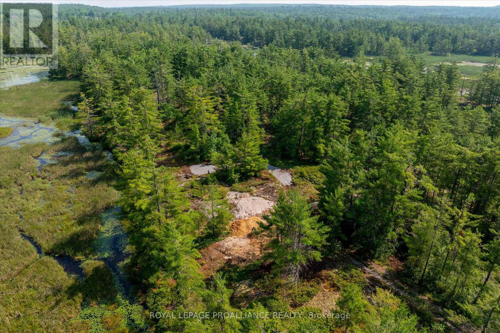 0 Fire 79b Route, Trent Lakes, Ontario  K0L 1J0 - Photo 30 - X12270920