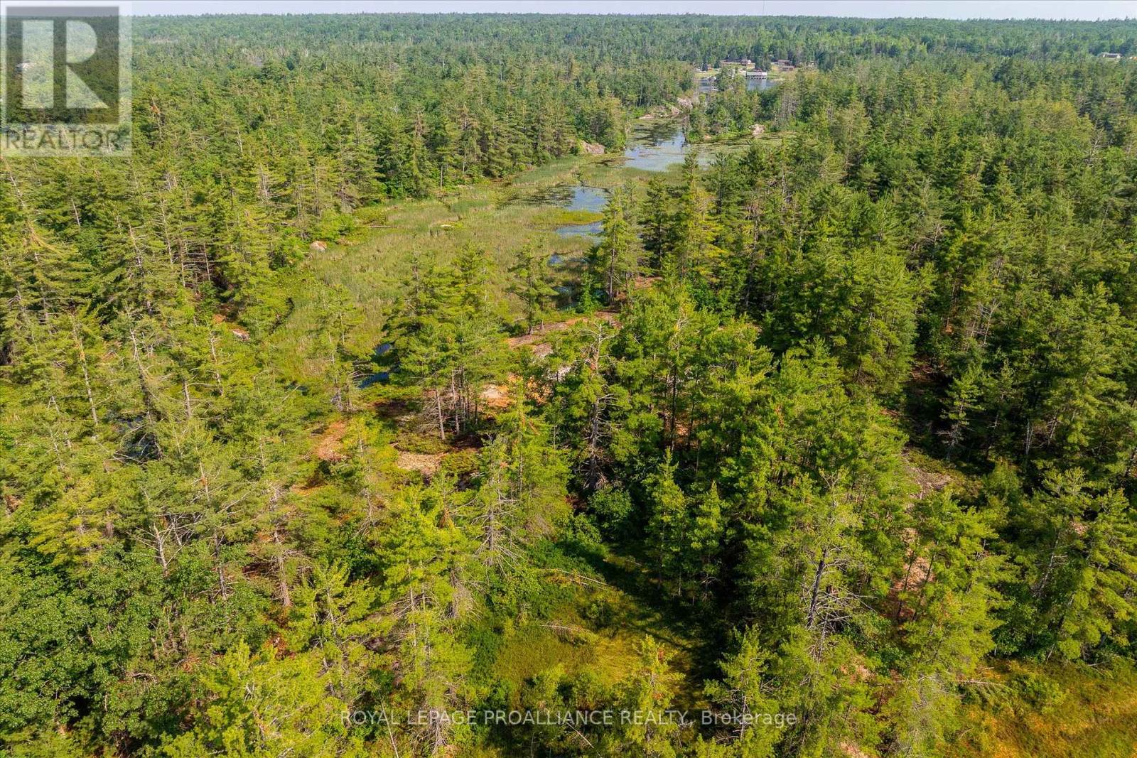 0 Fire 79b Route, Trent Lakes, Ontario  K0L 1J0 - Photo 31 - X12270920