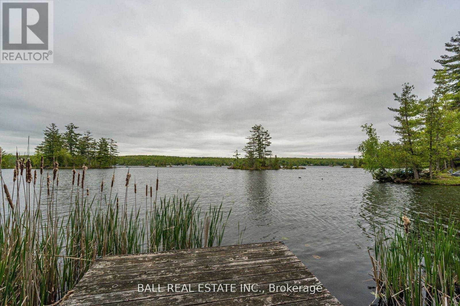 72 Hill Drive, Trent Lakes, Ontario  K0L 1J0 - Photo 35 - X12270982