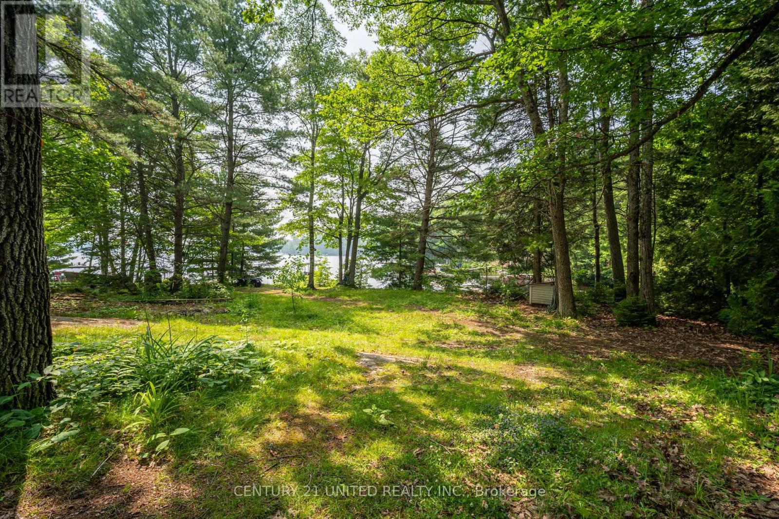 1207 Anstruther Lake Wao, North Kawartha, Ontario  K0L 1A0 - Photo 6 - X12271068