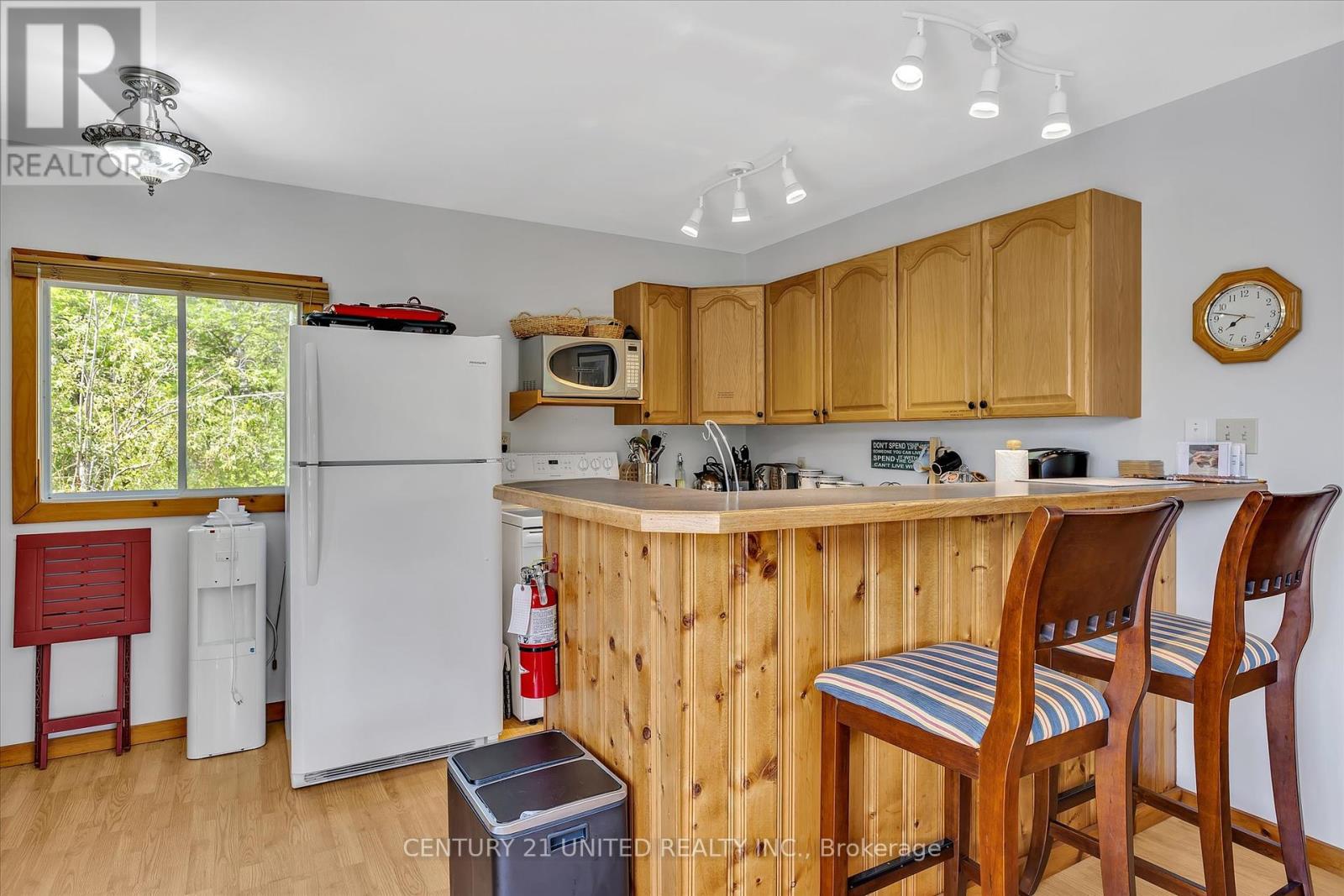 65 Fire Route 8, North Kawartha, Ontario  K0L 3E0 - Photo 14 - X12272715