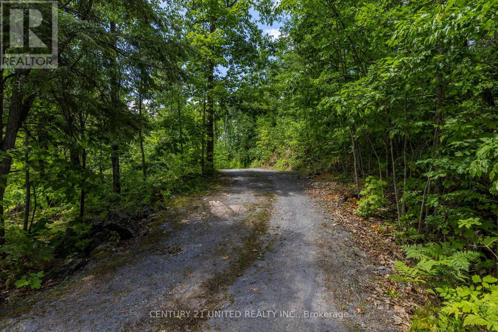 65 Fire Route 8, North Kawartha, Ontario  K0L 3E0 - Photo 5 - X12272715