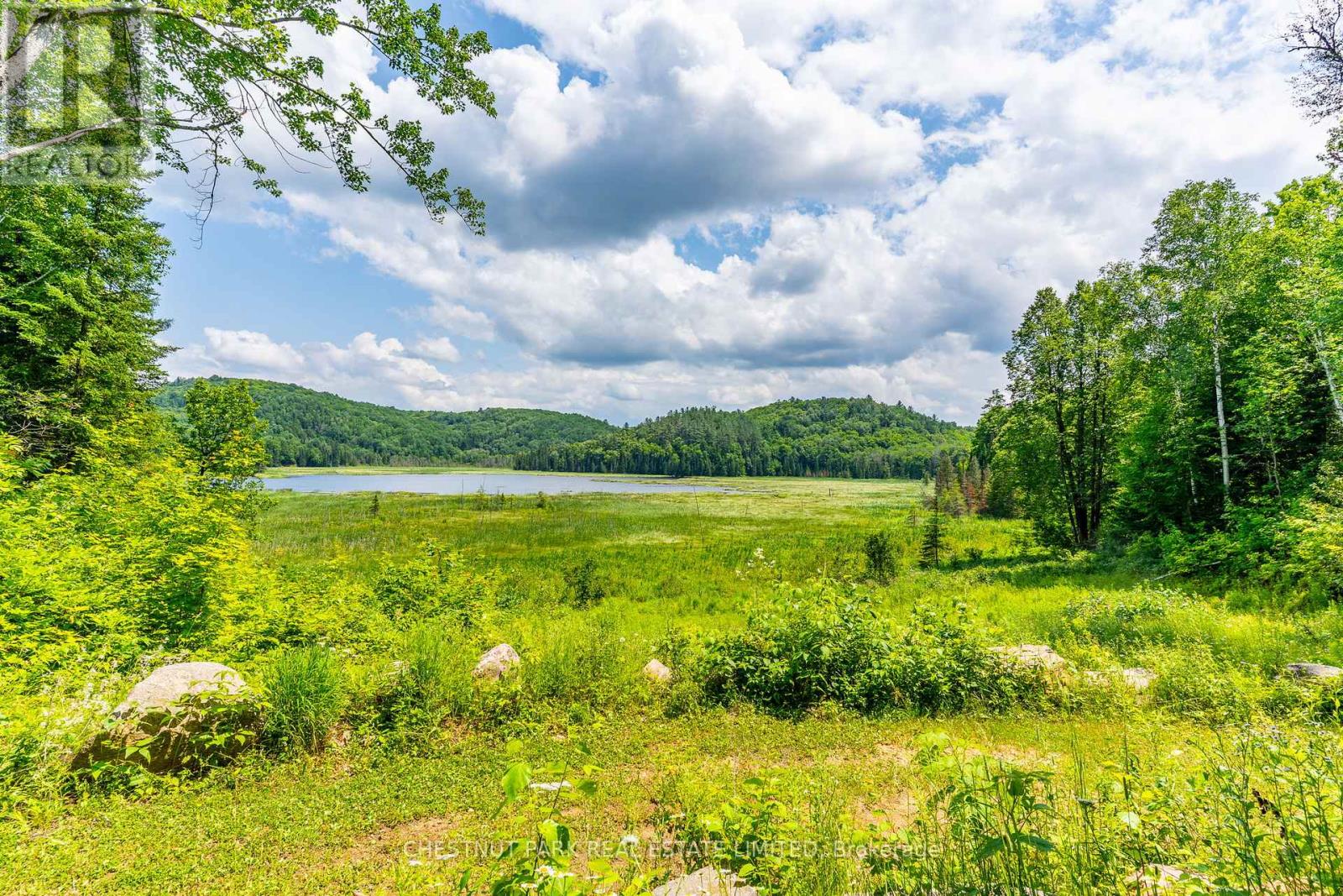 778 Maxwell Settlement Road, Bancroft (Dungannon Ward), Ontario  K0L 1C0 - Photo 43 - X12273237
