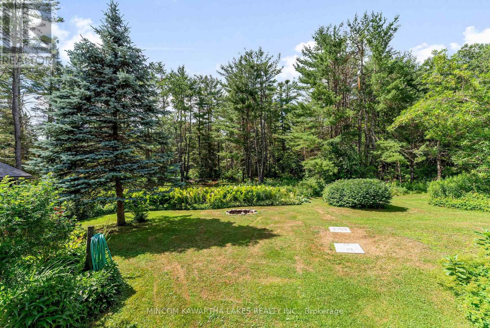 60 Burleigh Street, North Kawartha, Ontario  K0L 1A0 - Photo 34 - X12273586