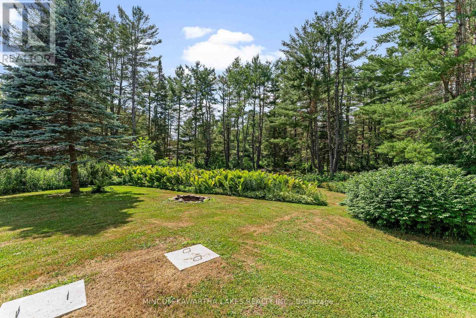 60 Burleigh Street, North Kawartha, Ontario  K0L 1A0 - Photo 35 - X12273586