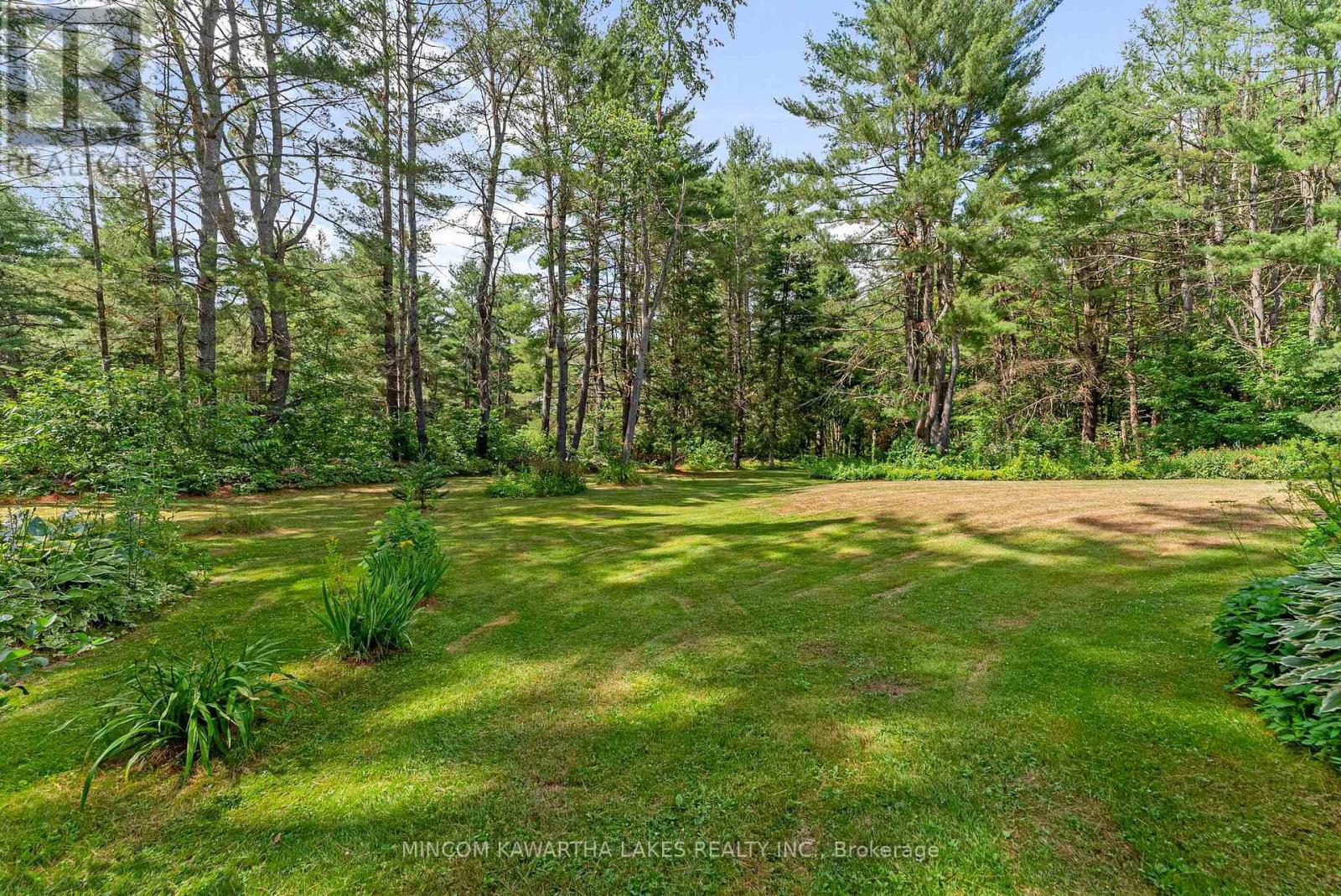 60 Burleigh Street, North Kawartha, Ontario  K0L 1A0 - Photo 37 - X12273586