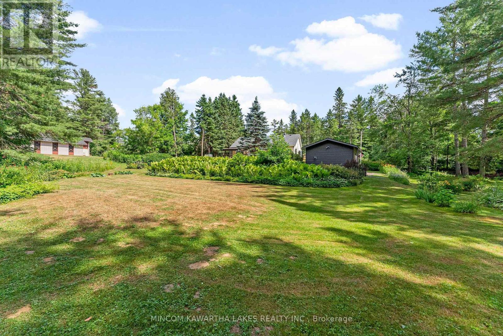 60 Burleigh Street, North Kawartha, Ontario  K0L 1A0 - Photo 38 - X12273586