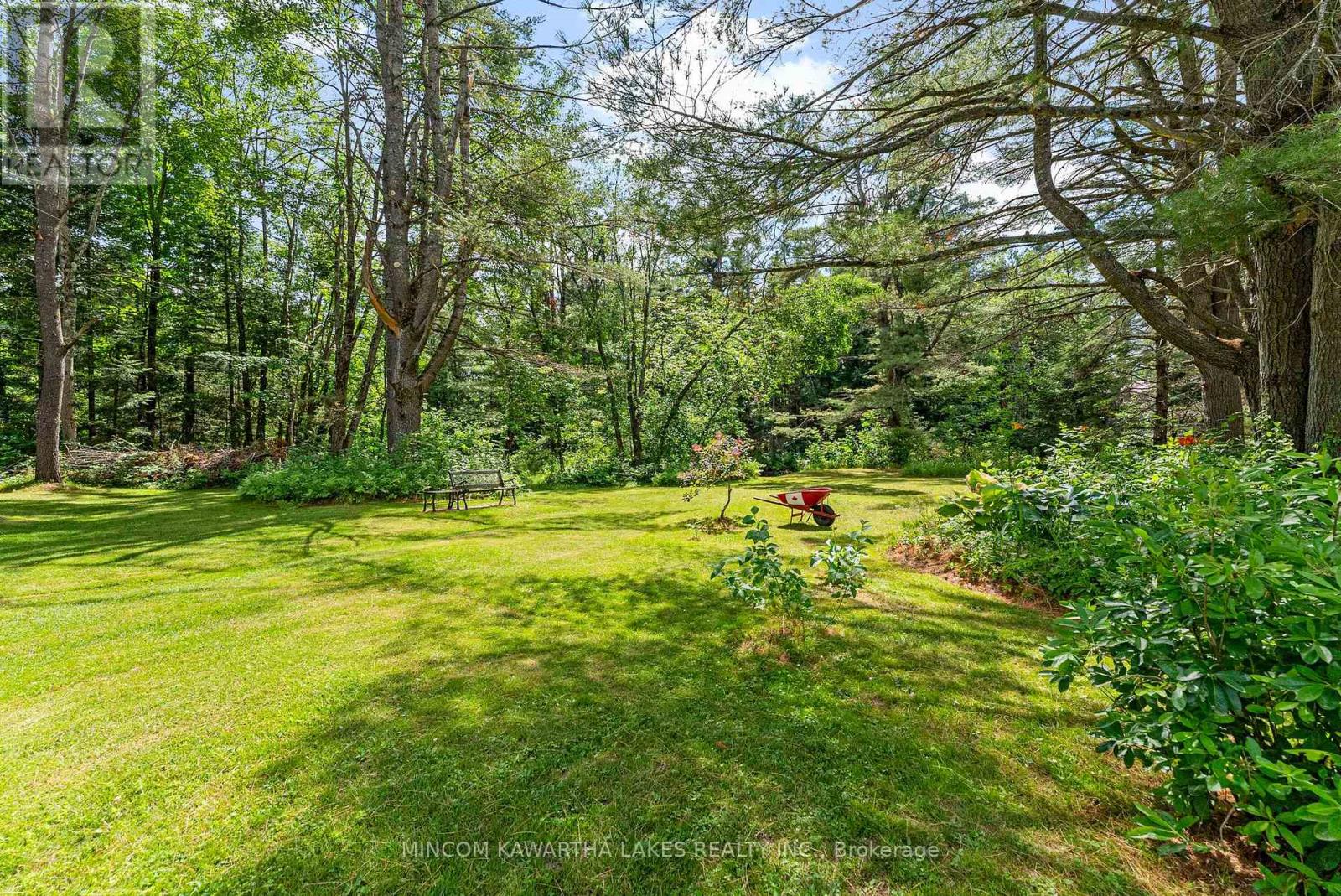 60 Burleigh Street, North Kawartha, Ontario  K0L 1A0 - Photo 39 - X12273586