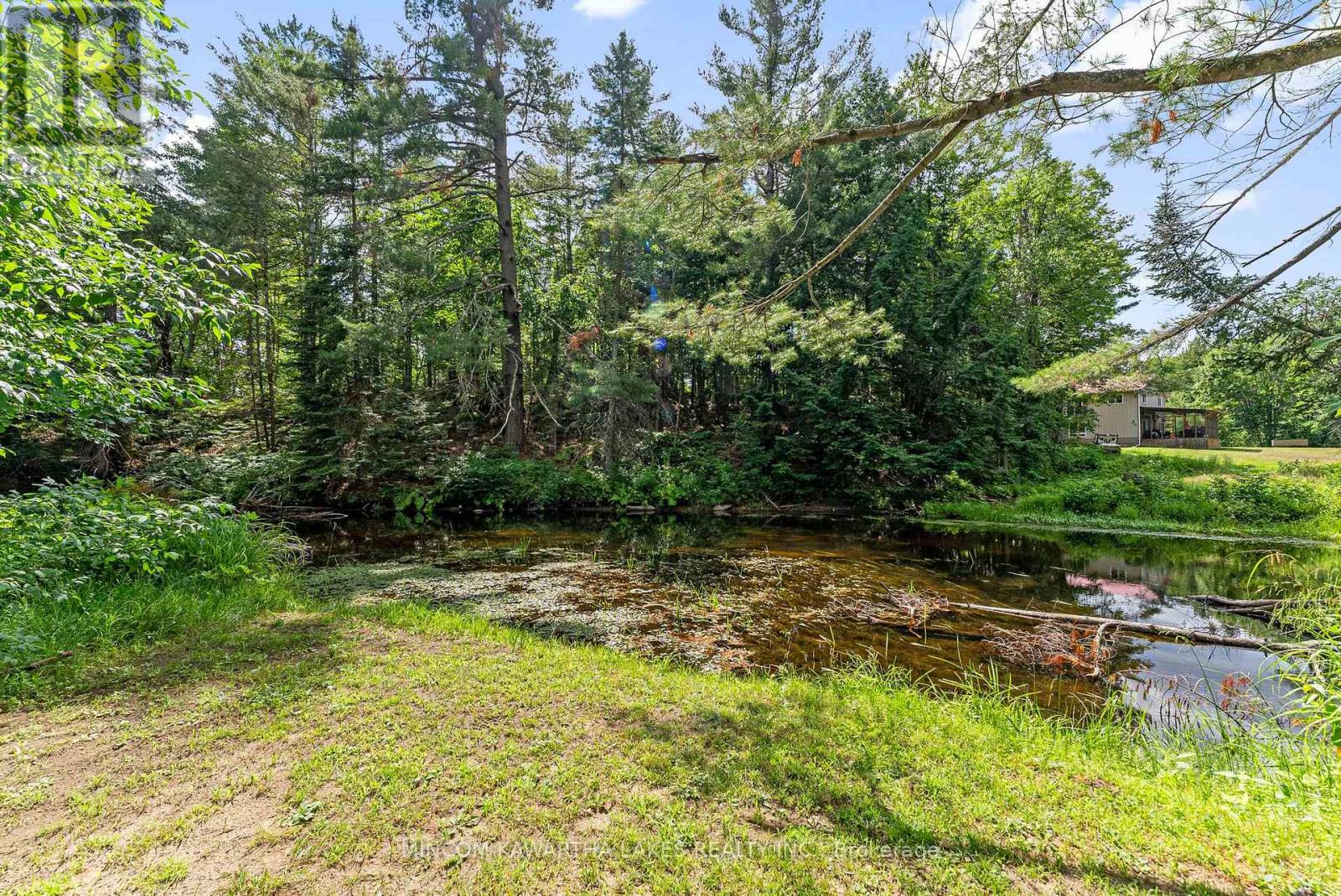 60 Burleigh Street, North Kawartha, Ontario  K0L 1A0 - Photo 40 - X12273586