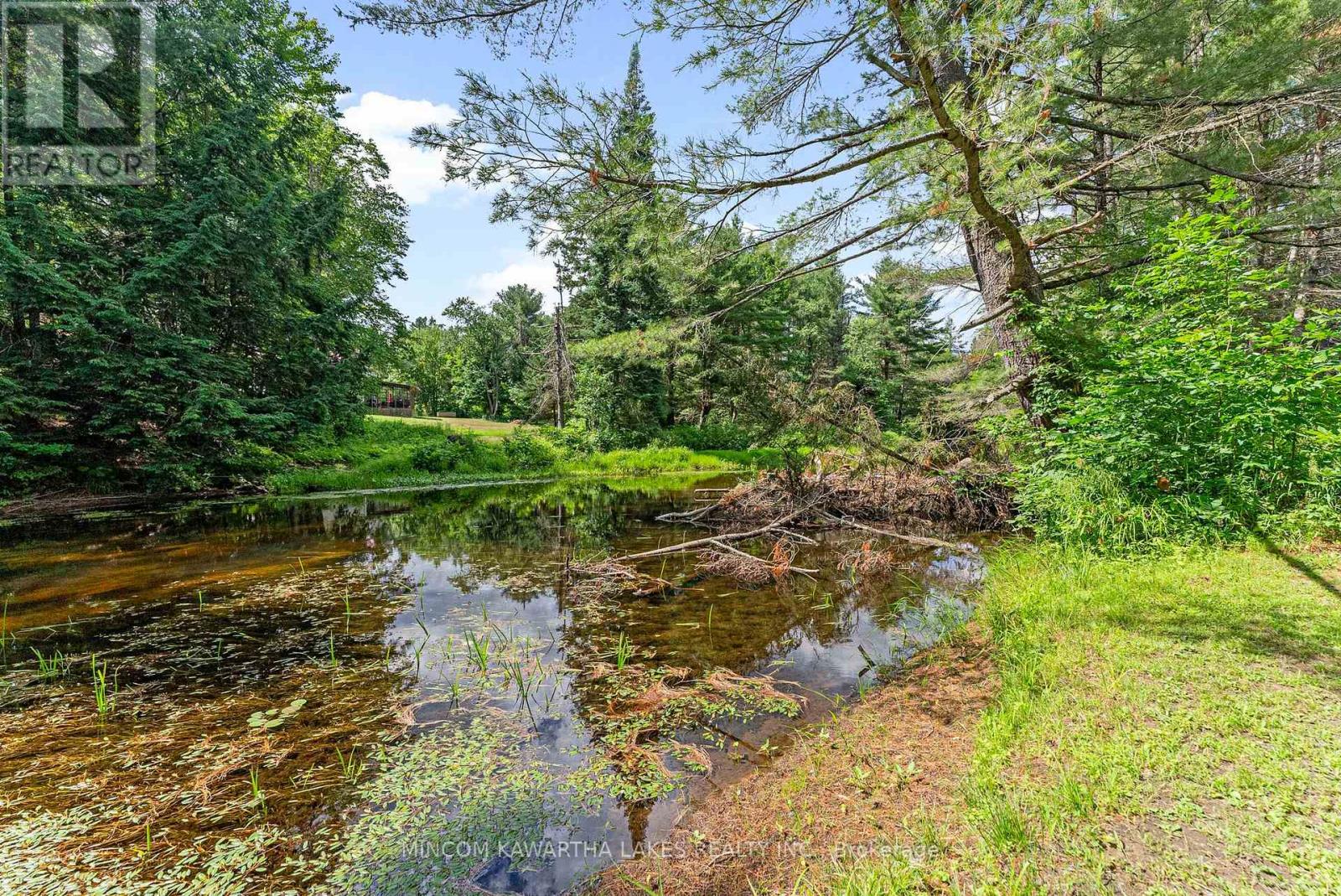 60 Burleigh Street, North Kawartha, Ontario  K0L 1A0 - Photo 41 - X12273586