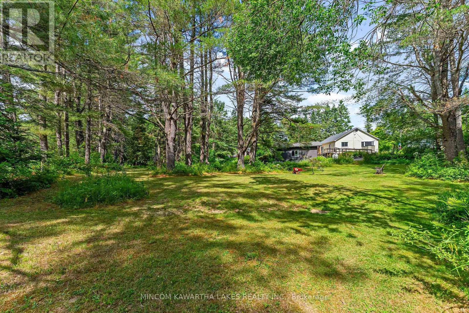 60 Burleigh Street, North Kawartha, Ontario  K0L 1A0 - Photo 42 - X12273586