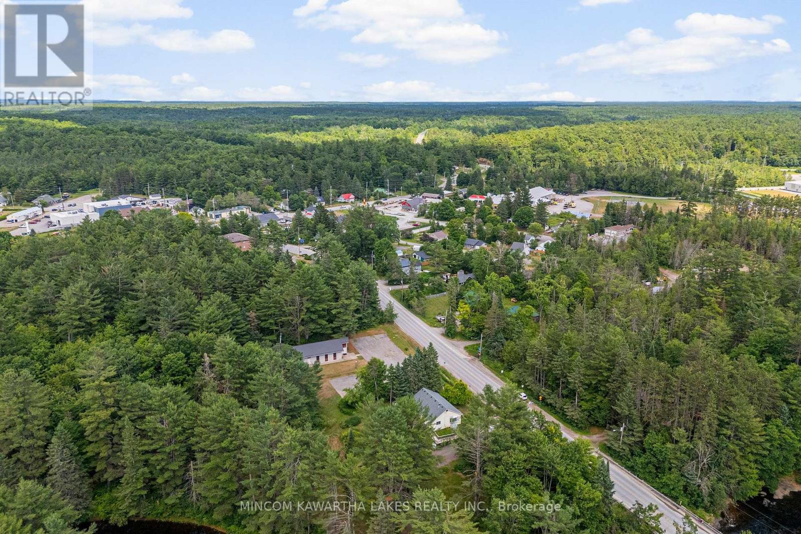 60 Burleigh Street, North Kawartha, Ontario  K0L 1A0 - Photo 44 - X12273586