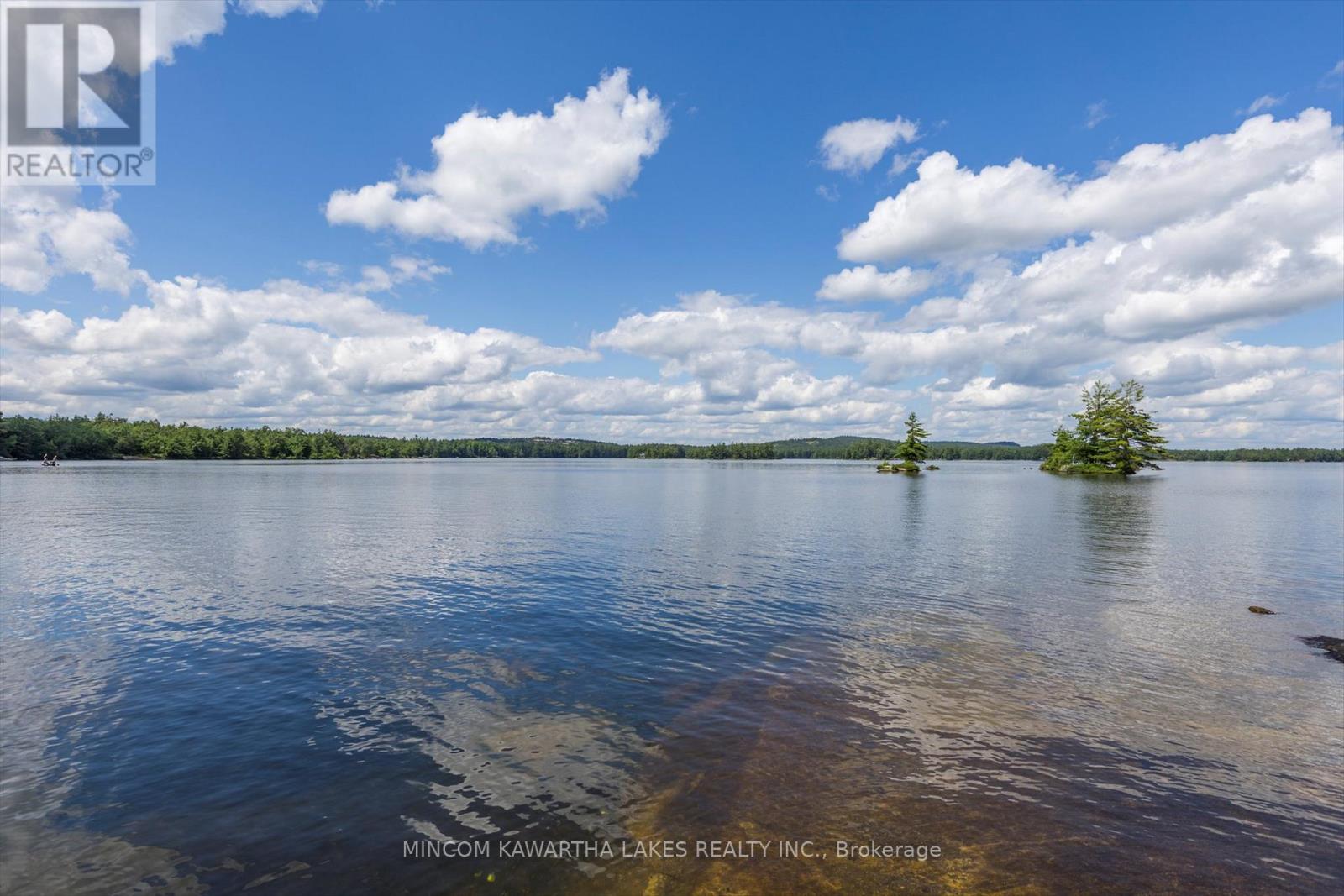 183 26 Kasshabog Lk, Havelock-Belmont-Methuen, Ontario  K0L 2H0 - Photo 38 - X12274022