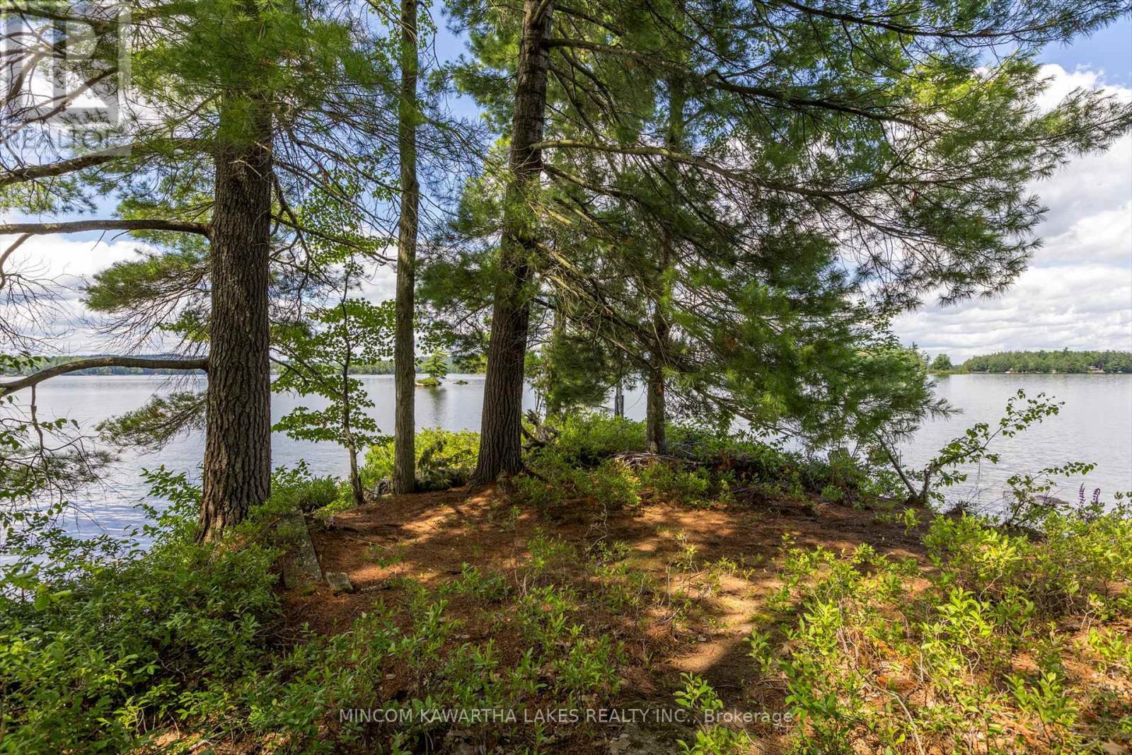 183 26 Kasshabog Lk, Havelock-Belmont-Methuen, Ontario  K0L 2H0 - Photo 39 - X12274022
