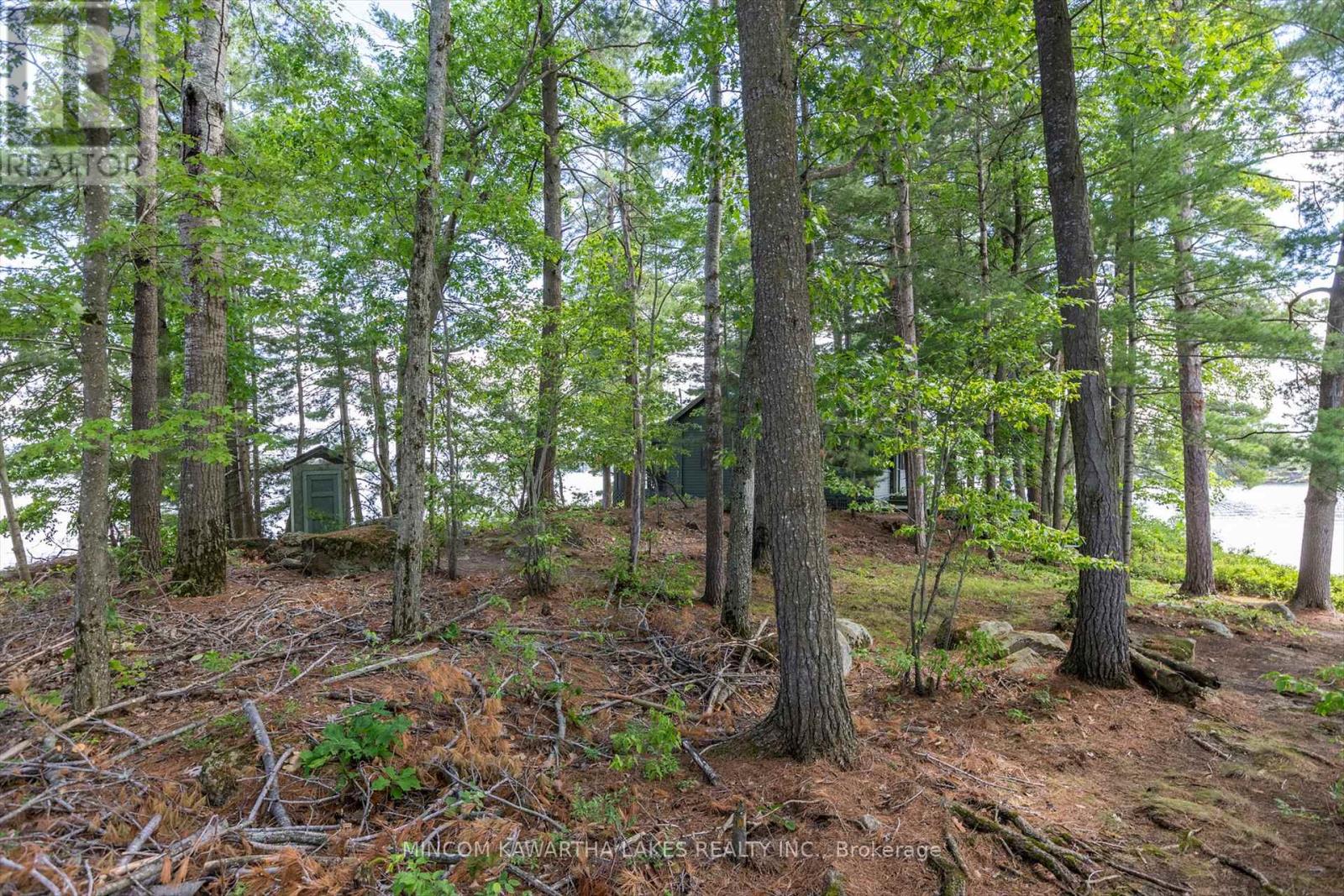 183 26 Kasshabog Lk, Havelock-Belmont-Methuen, Ontario  K0L 2H0 - Photo 40 - X12274022