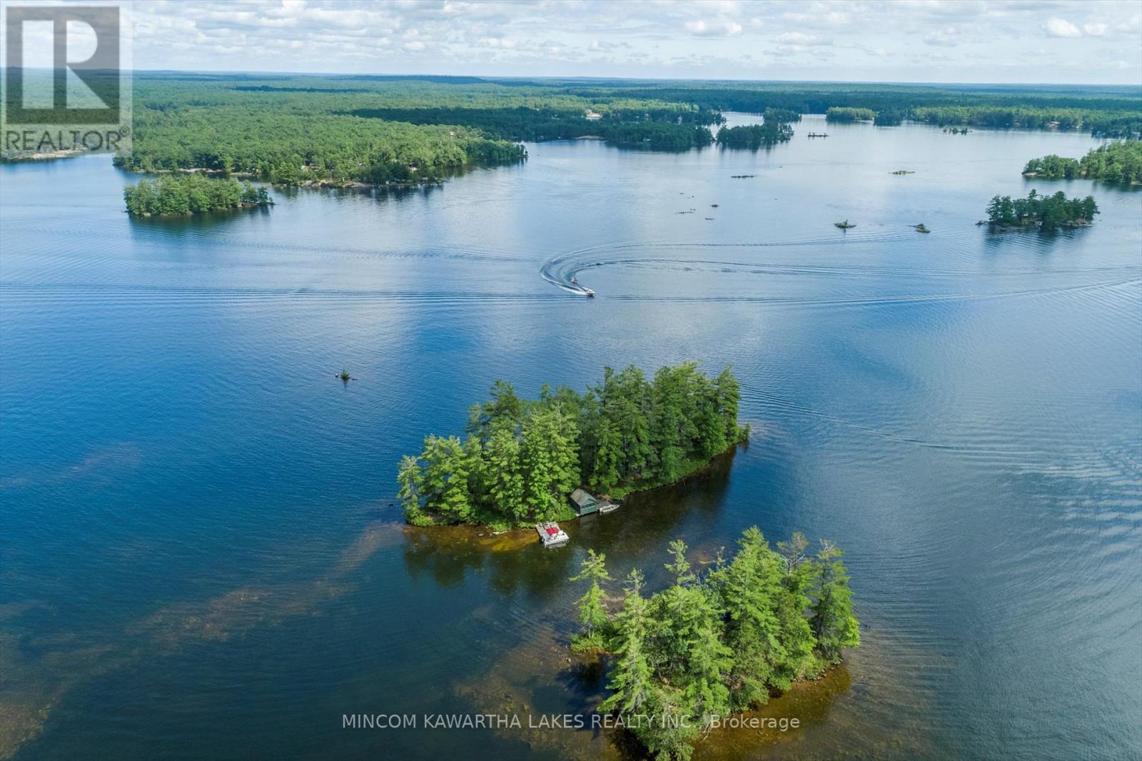 183 26 Kasshabog Lk, Havelock-Belmont-Methuen, Ontario  K0L 2H0 - Photo 45 - X12274022