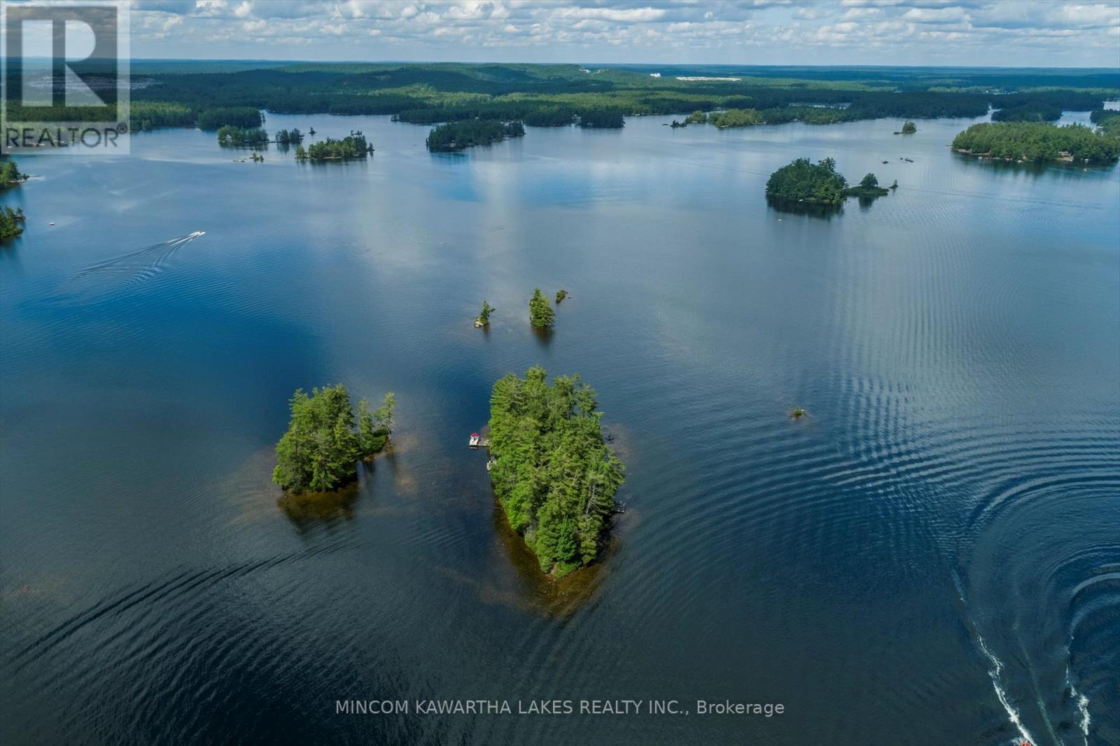 183 26 Kasshabog Lk, Havelock-Belmont-Methuen, Ontario  K0L 2H0 - Photo 46 - X12274022