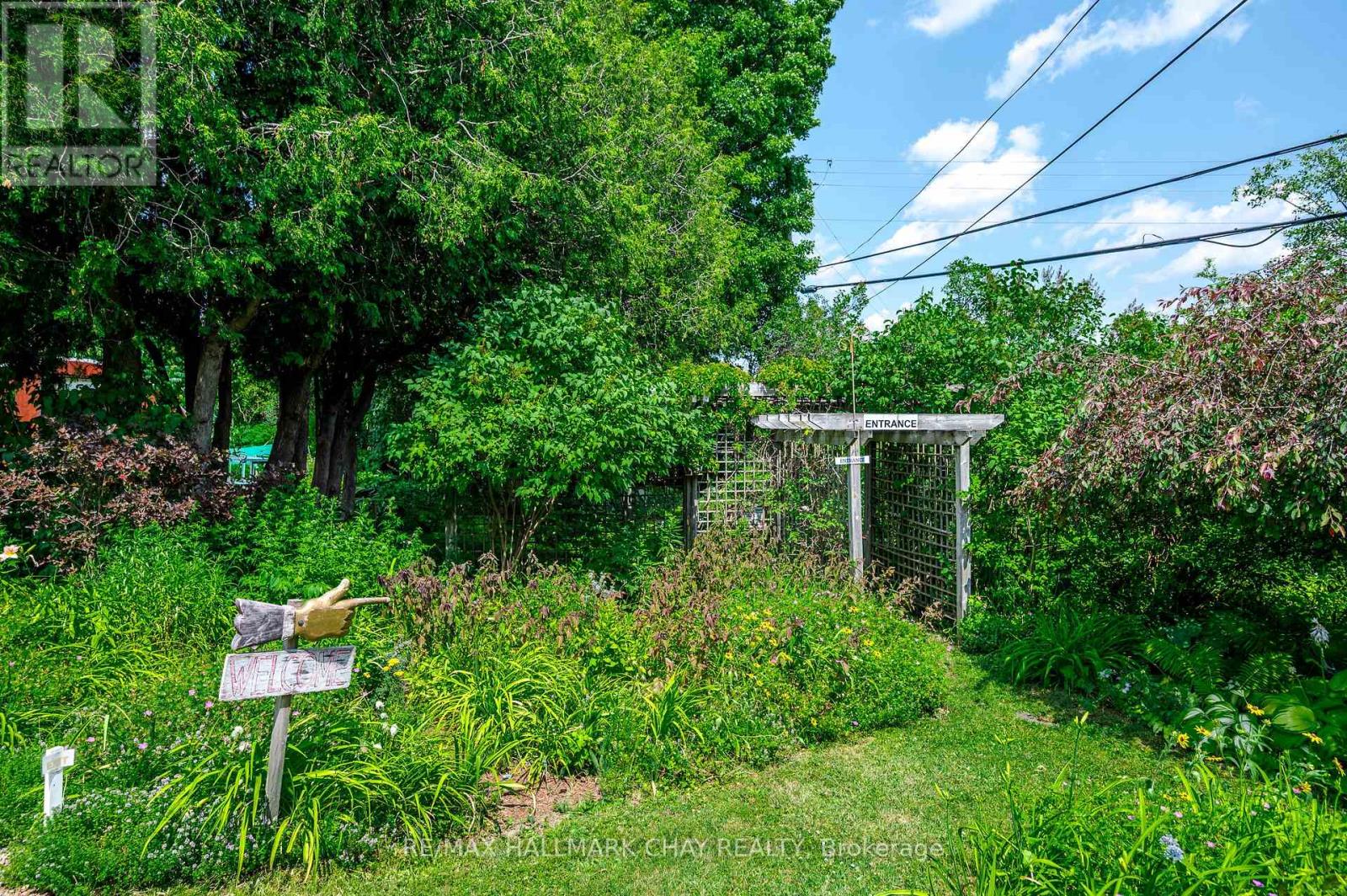 136 County 4 Road, Douro-Dummer, Ontario  K9L 1V6 - Photo 35 - X12274211