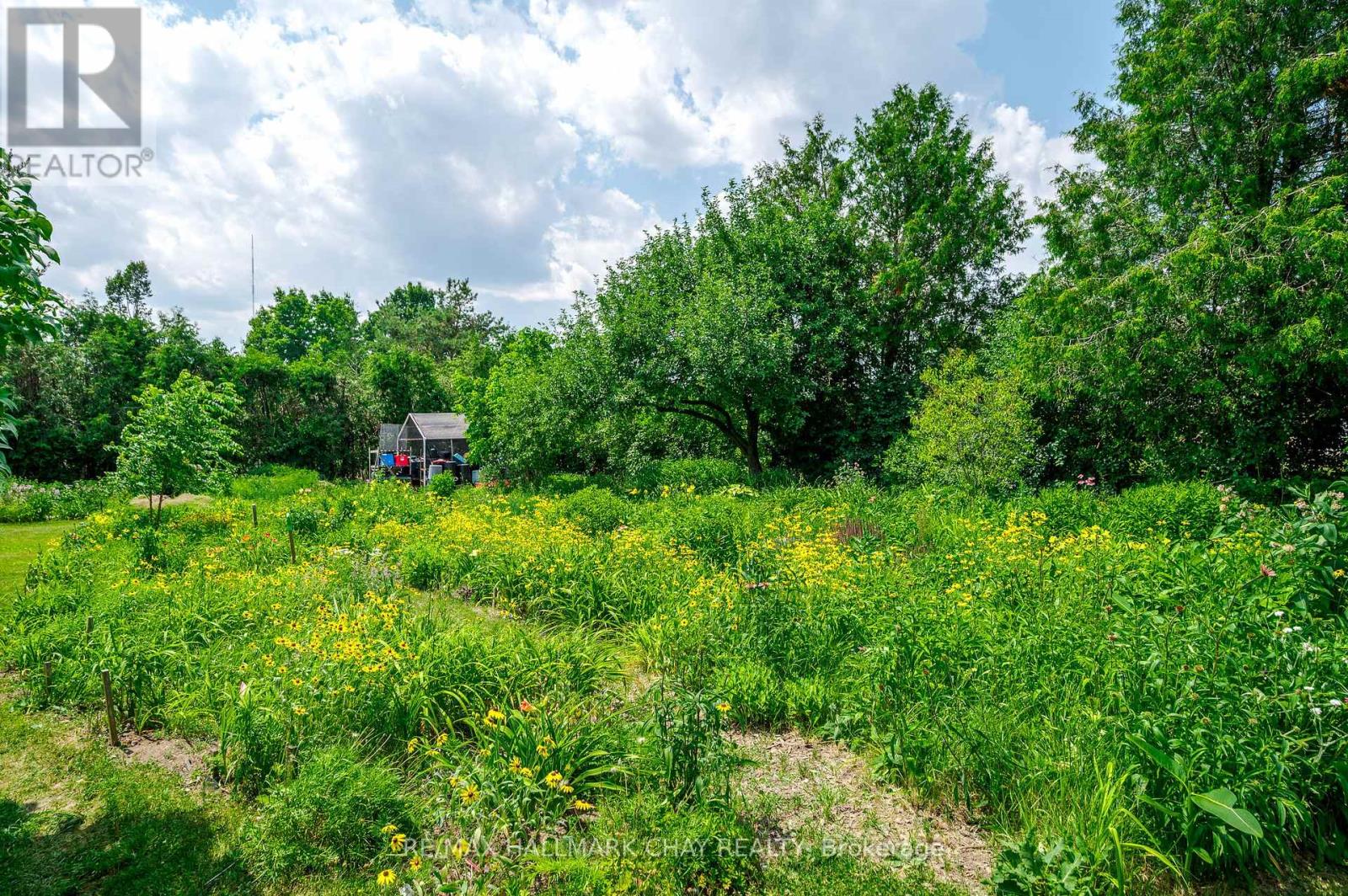 136 County 4 Road, Douro-Dummer, Ontario  K9L 1V6 - Photo 41 - X12274211