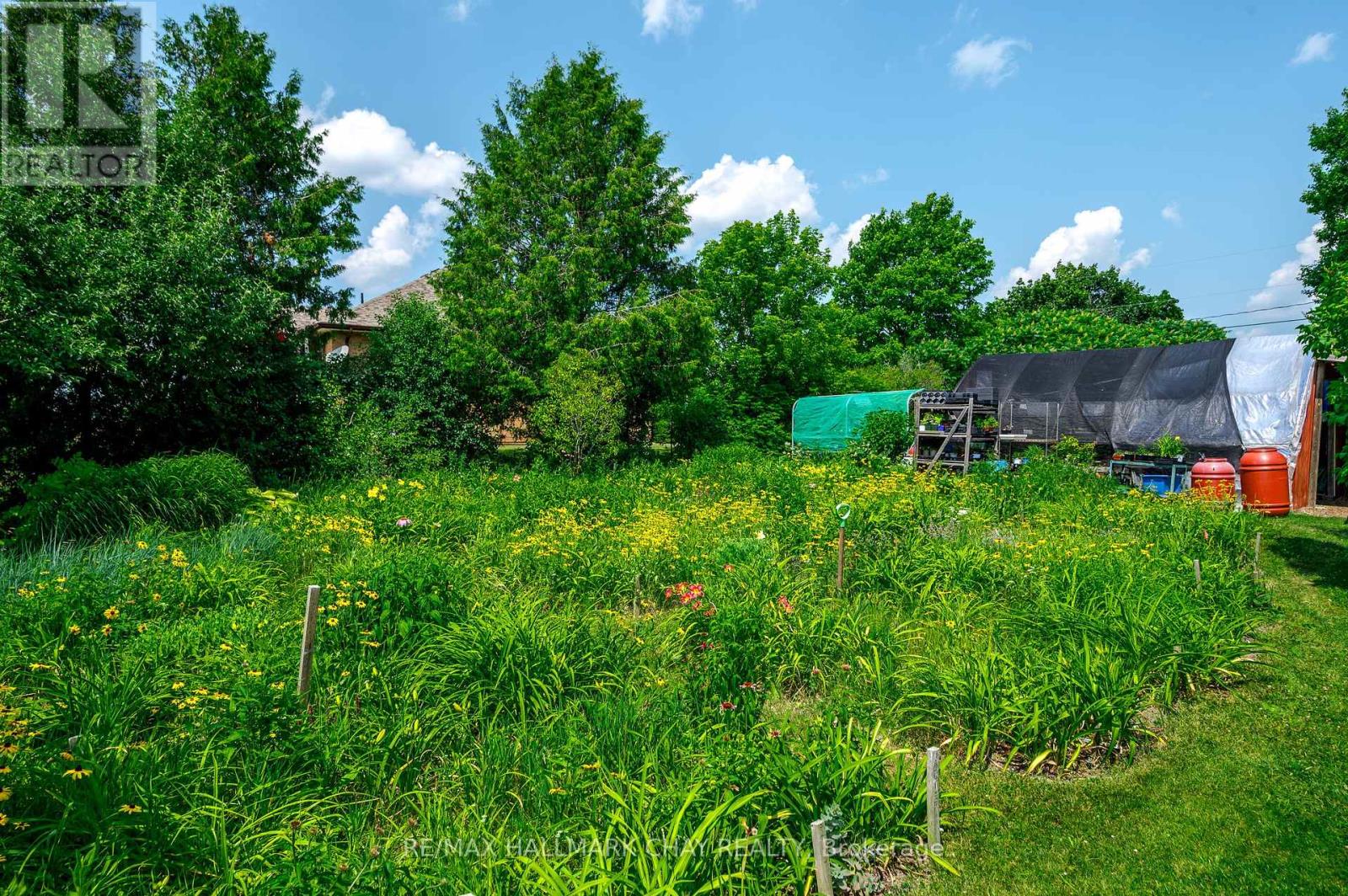 136 County 4 Road, Douro-Dummer, Ontario  K9L 1V6 - Photo 42 - X12274211