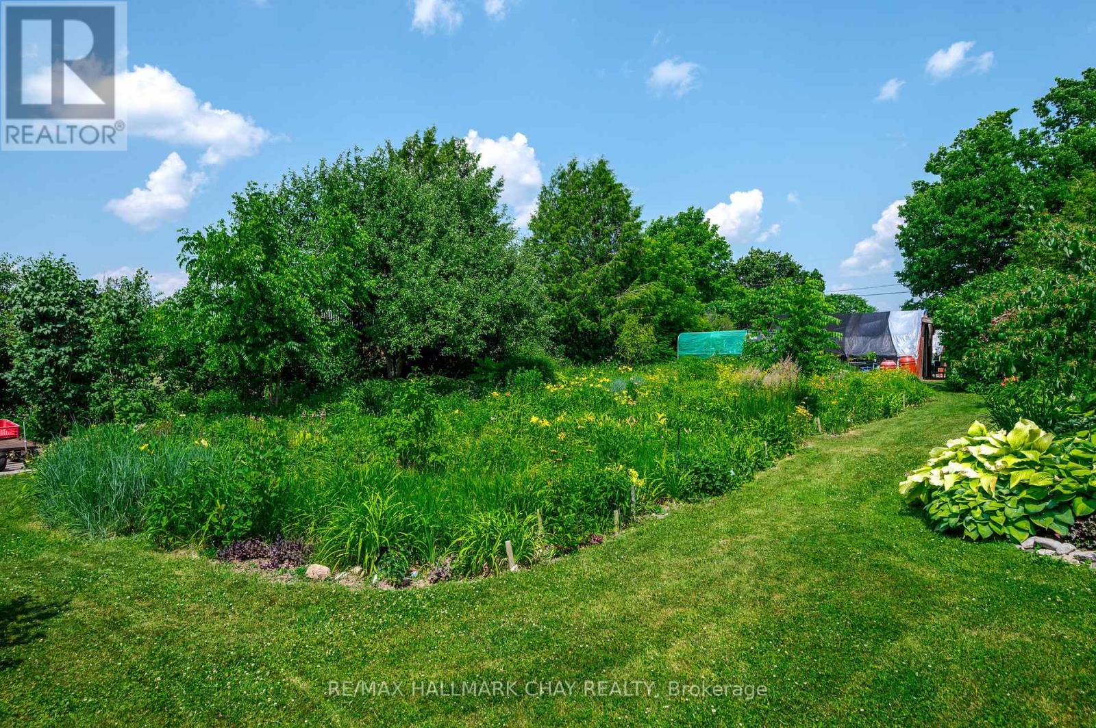 136 County 4 Road, Douro-Dummer, Ontario  K9L 1V6 - Photo 43 - X12274211