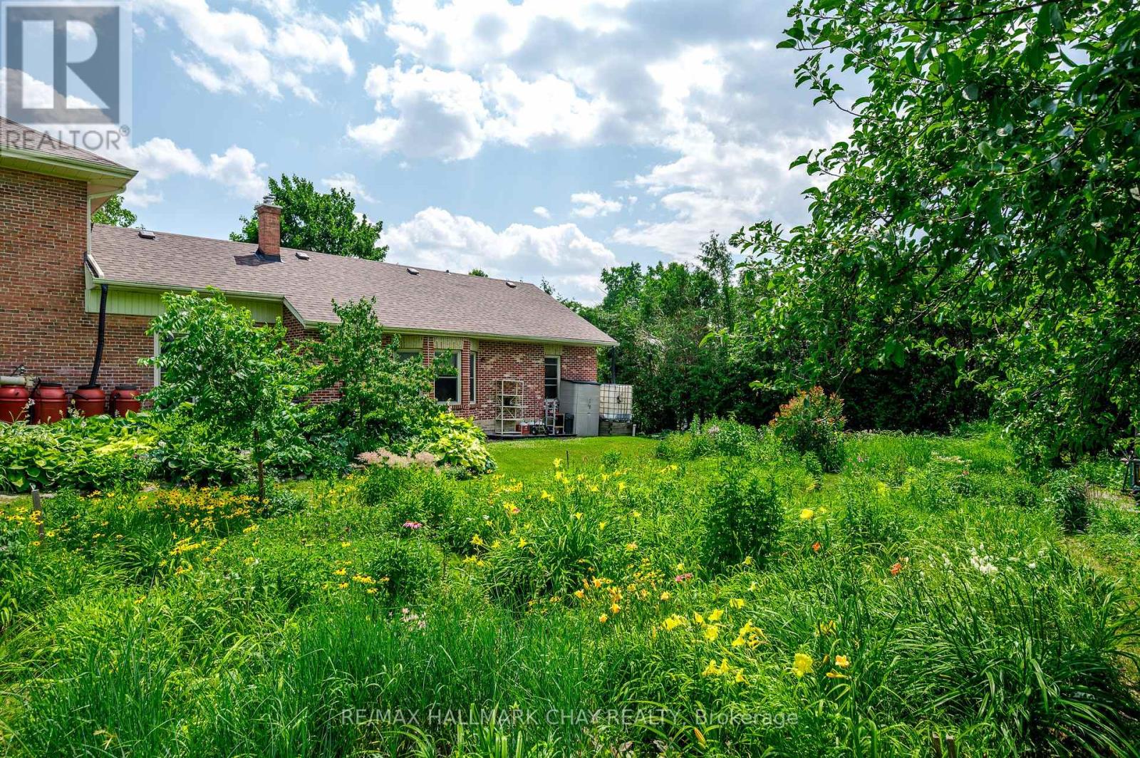 136 County 4 Road, Douro-Dummer, Ontario  K9L 1V6 - Photo 44 - X12274211