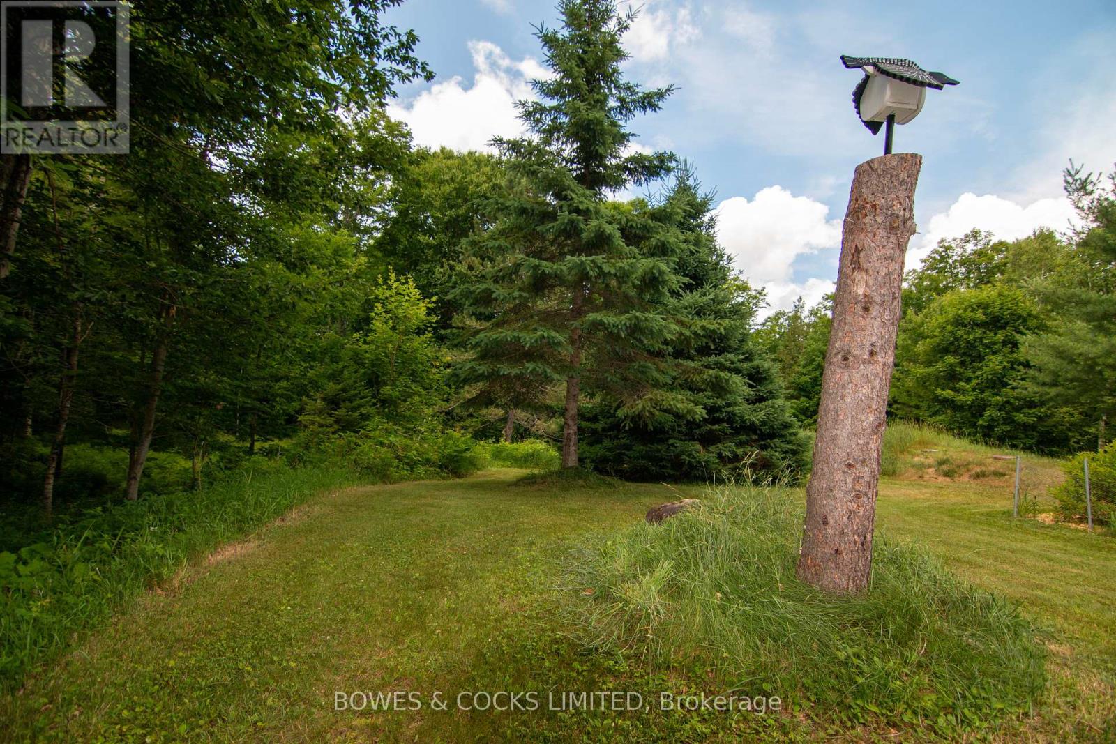 72 Jones Road, Wollaston, Ontario  K0L 1P0 - Photo 45 - X12274389