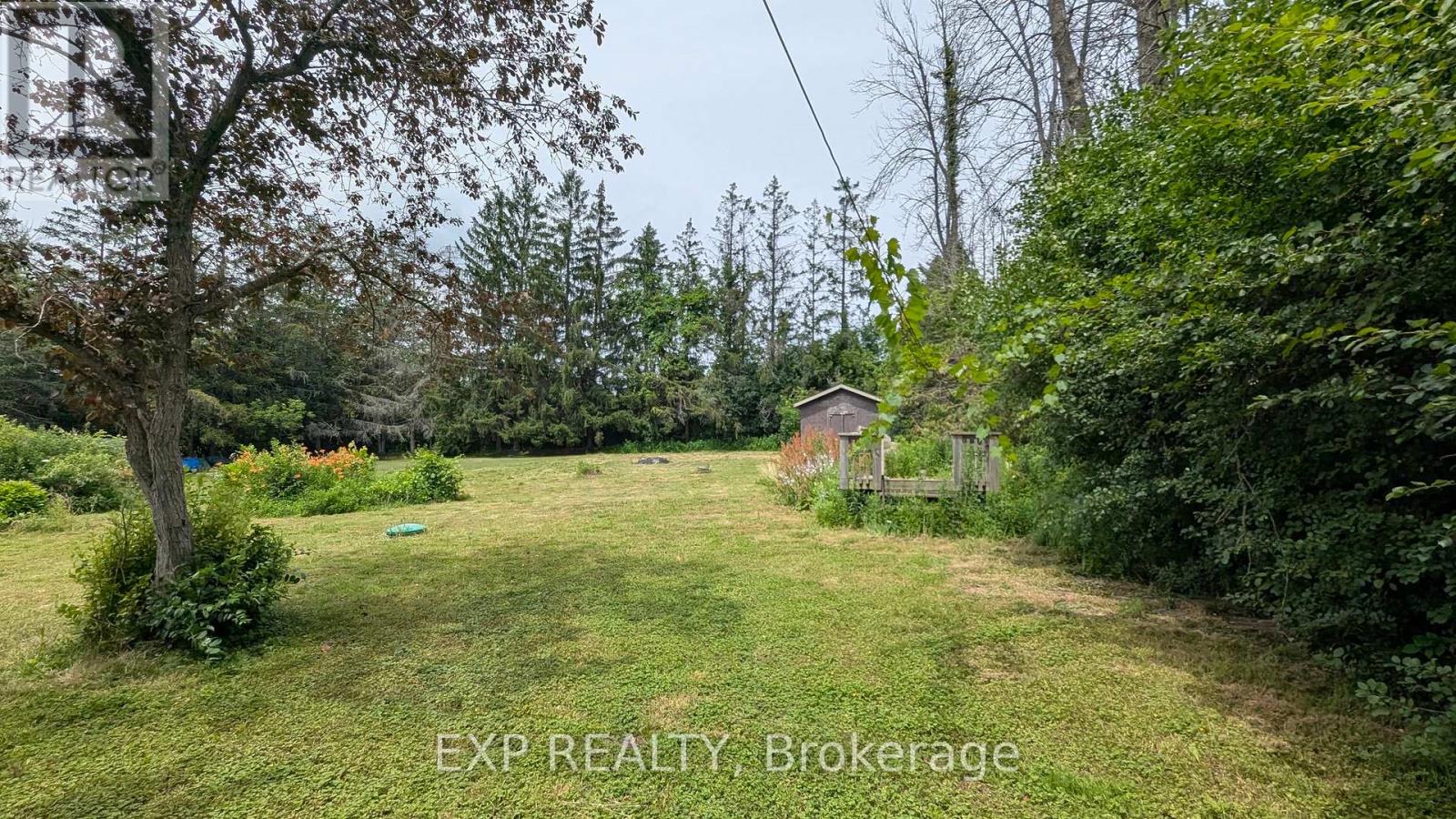 556 North Shore Drive W, Otonabee-South Monaghan, Ontario  K0L 1B0 - Photo 29 - X12275124