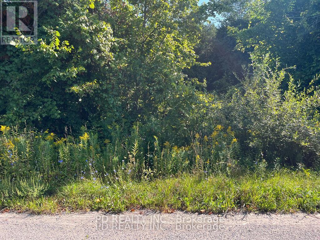 N/a Asphodel 12th Line, Asphodel-Norwood, Ontario  K0L 2V0 - Photo 10 - X12275201