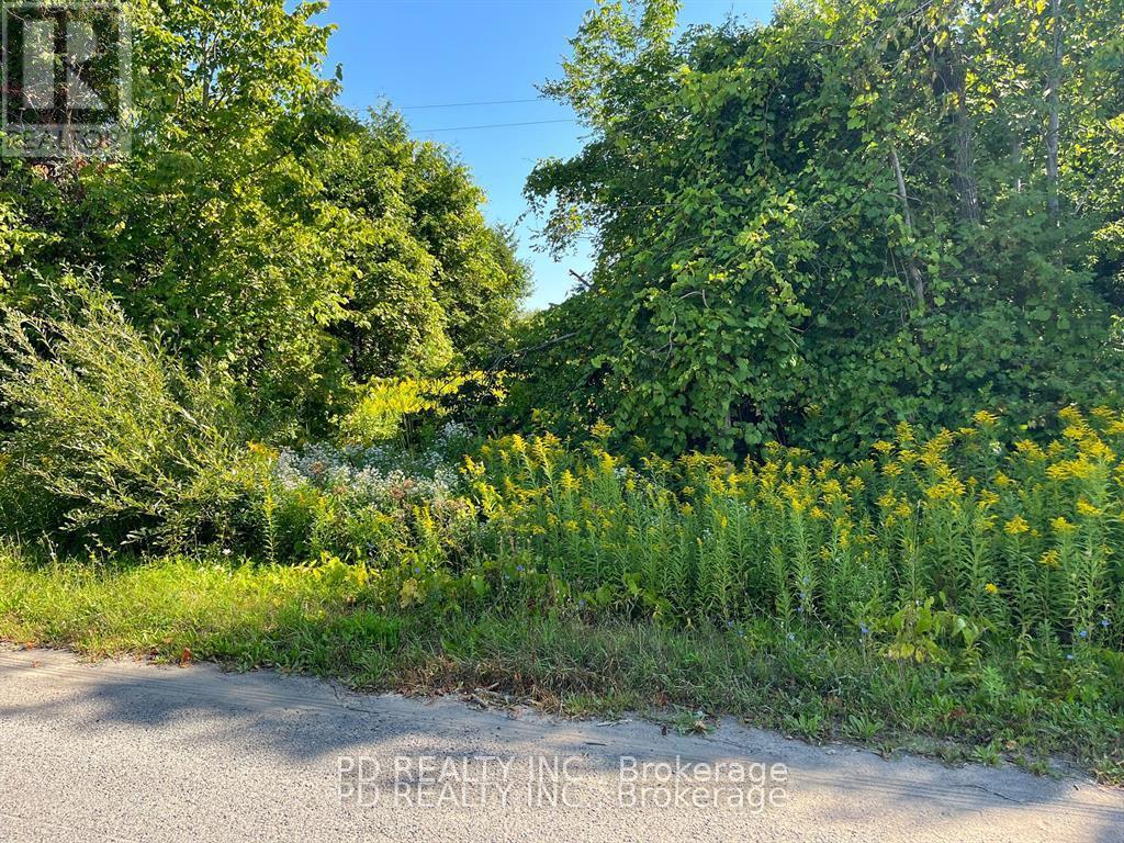 N/a Asphodel 12th Line, Asphodel-Norwood, Ontario  K0L 2V0 - Photo 11 - X12275201