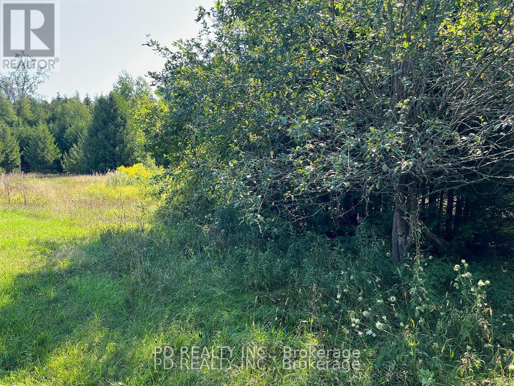 N/a Asphodel 12th Line, Asphodel-Norwood, Ontario  K0L 2V0 - Photo 7 - X12275201
