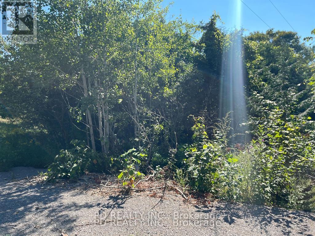 N/a Asphodel 12th Line, Asphodel-Norwood, Ontario  K0L 2V0 - Photo 8 - X12275201