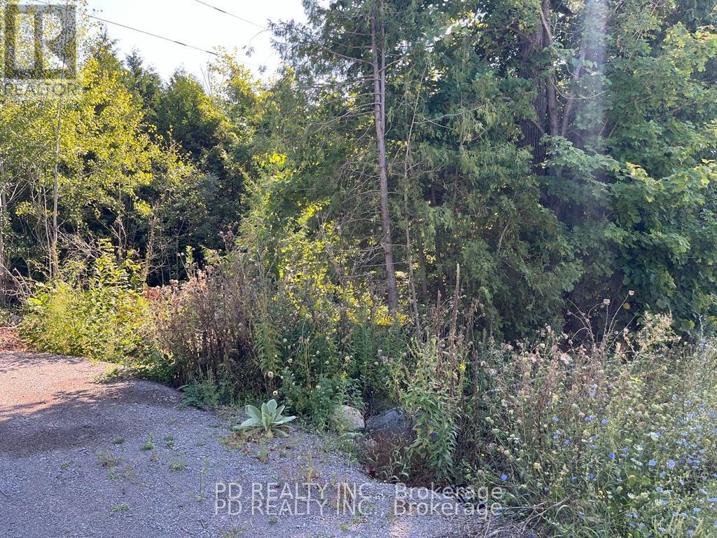 N/a Asphodel 12th Line, Asphodel-Norwood, Ontario  K0L 2V0 - Photo 9 - X12275201