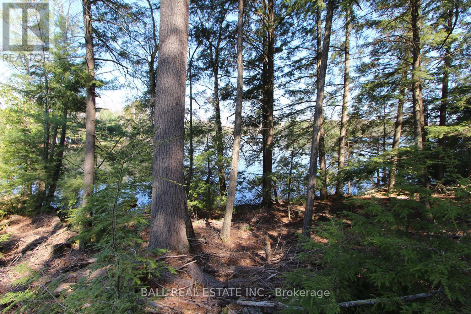 Pt2&3 Fire Route 223, Trent Lakes, Ontario  K0L 1J0 - Photo 1 - X12276411