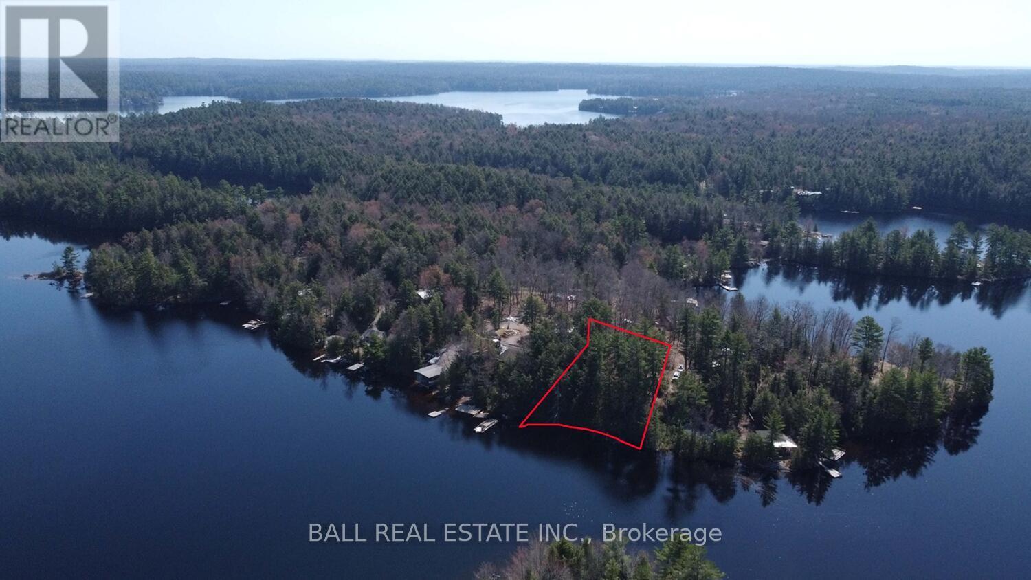 Pt2&3 Fire Route 223, Trent Lakes, Ontario  K0L 1J0 - Photo 10 - X12276411