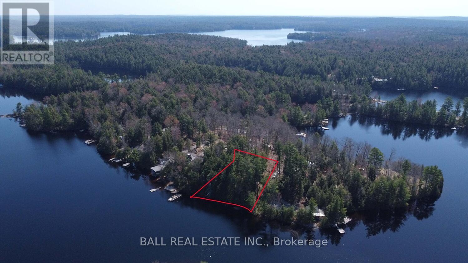 Pt2&3 Fire Route 223, Trent Lakes, Ontario  K0L 1J0 - Photo 11 - X12276411