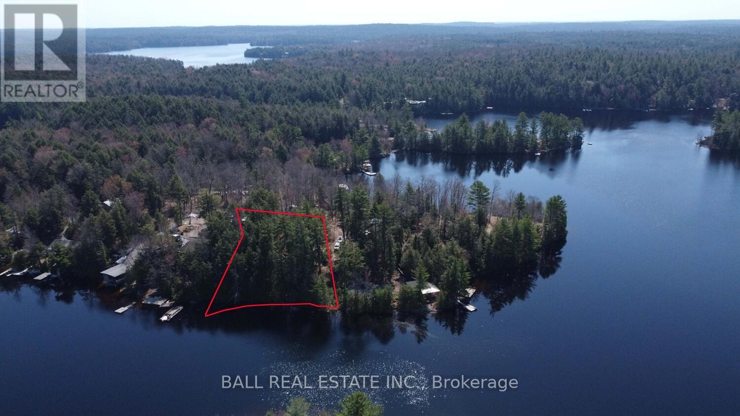 Pt2&3 Fire Route 223, Trent Lakes, Ontario  K0L 1J0 - Photo 12 - X12276411
