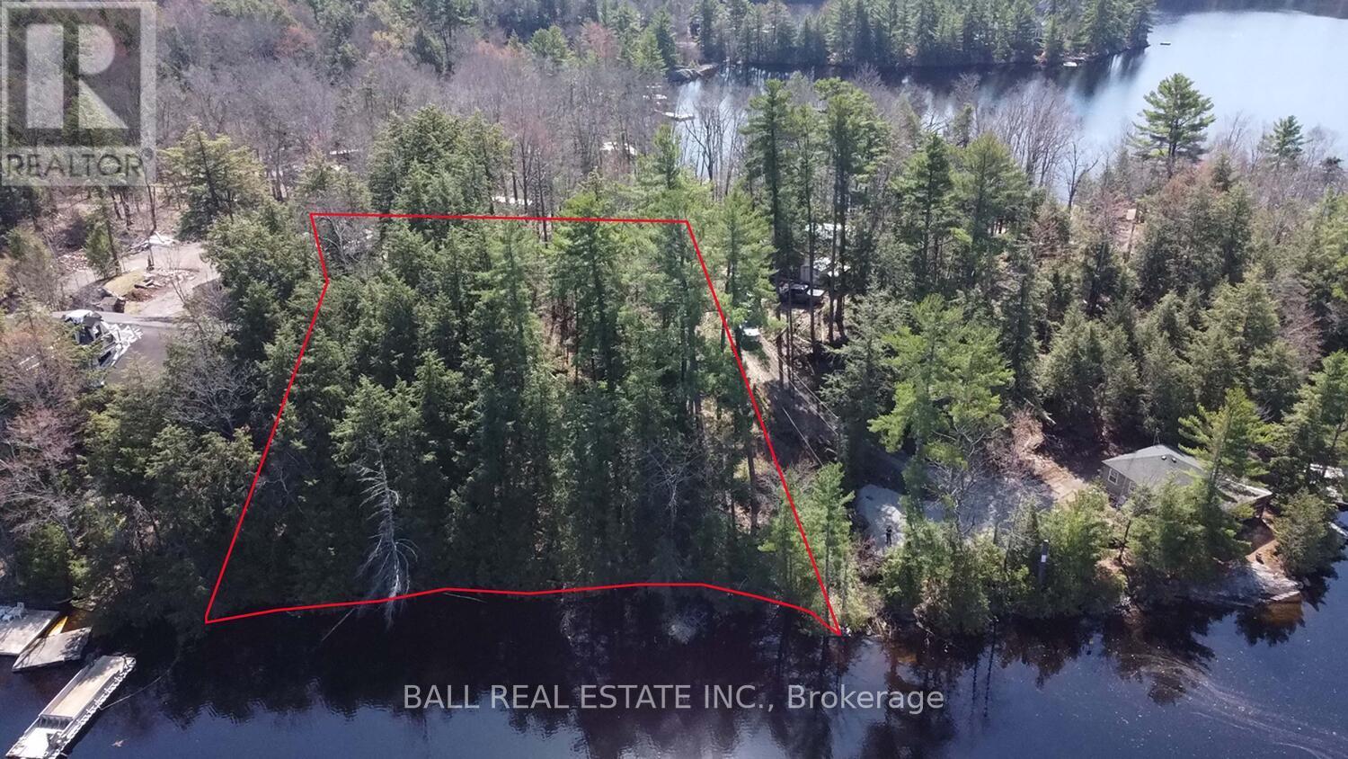 Pt2&3 Fire Route 223, Trent Lakes, Ontario  K0L 1J0 - Photo 16 - X12276411