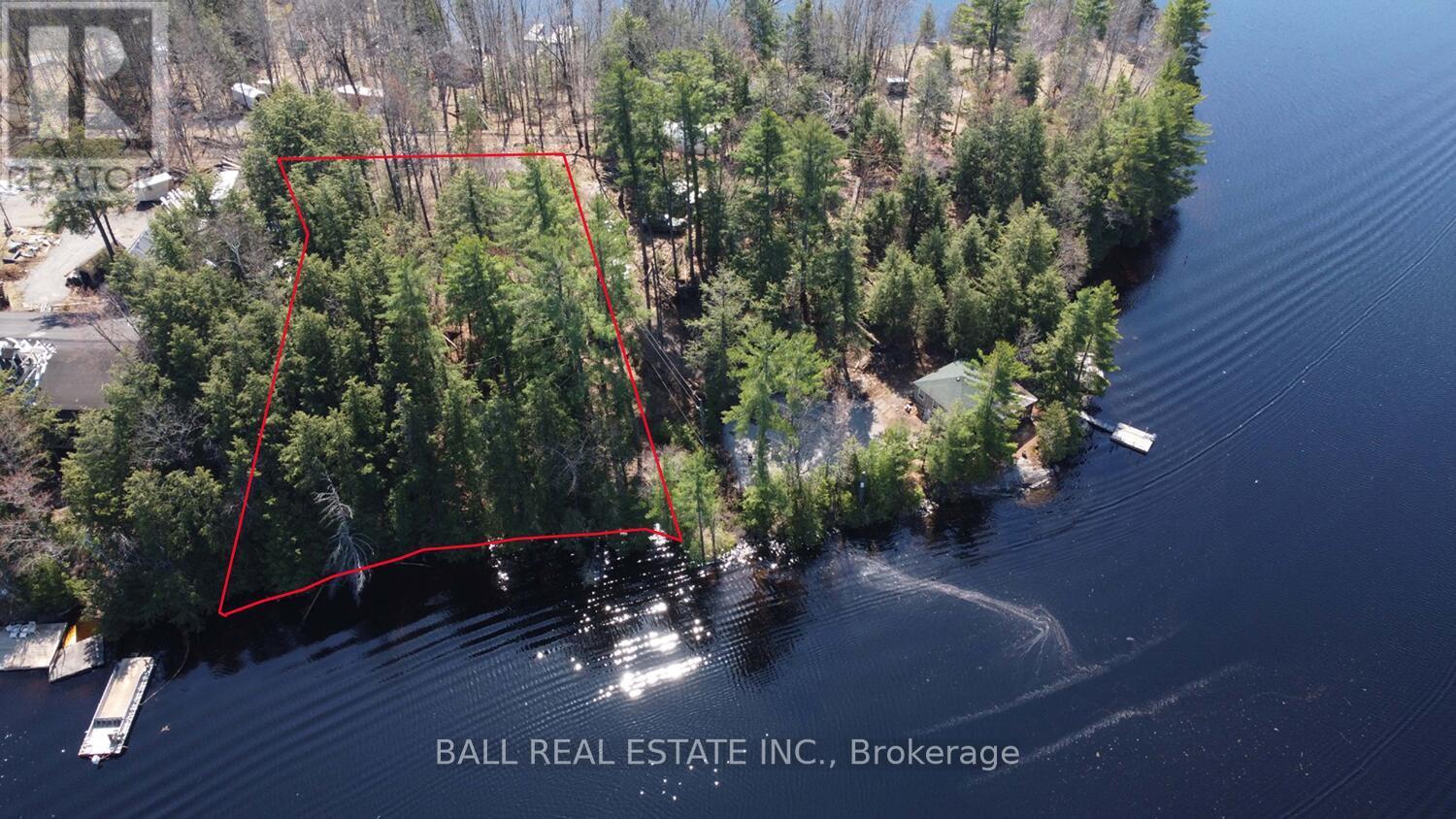 Pt2&3 Fire Route 223, Trent Lakes, Ontario  K0L 1J0 - Photo 2 - X12276411