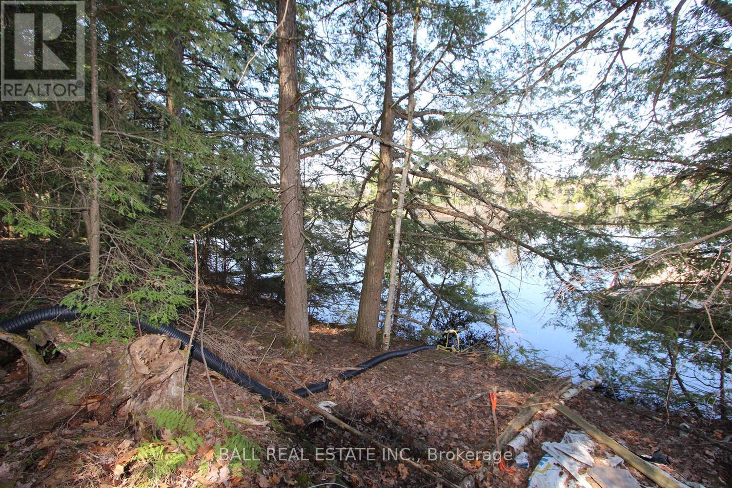Pt2&3 Fire Route 223, Trent Lakes, Ontario  K0L 1J0 - Photo 21 - X12276411