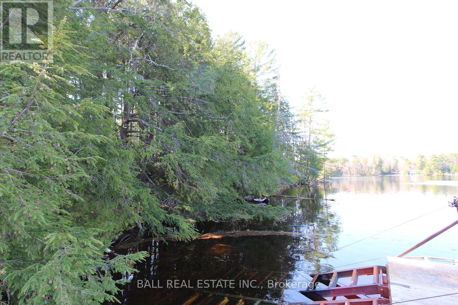 Pt2&3 Fire Route 223, Trent Lakes, Ontario  K0L 1J0 - Photo 22 - X12276411