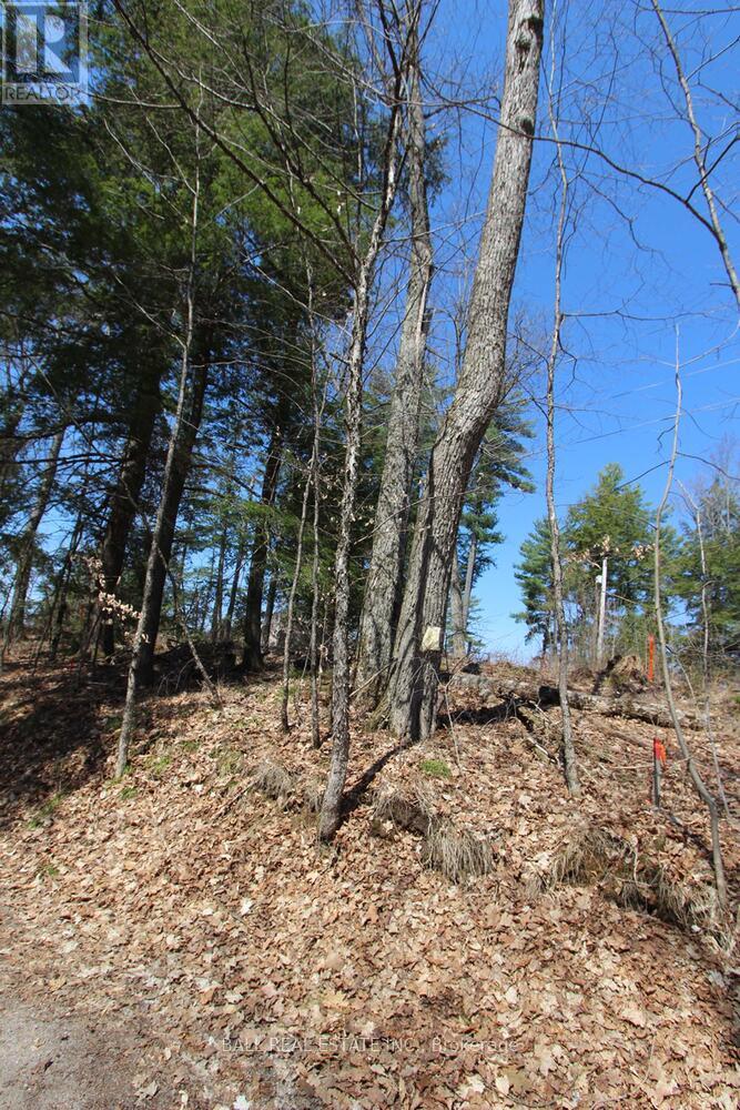 Pt2&3 Fire Route 223, Trent Lakes, Ontario  K0L 1J0 - Photo 23 - X12276411